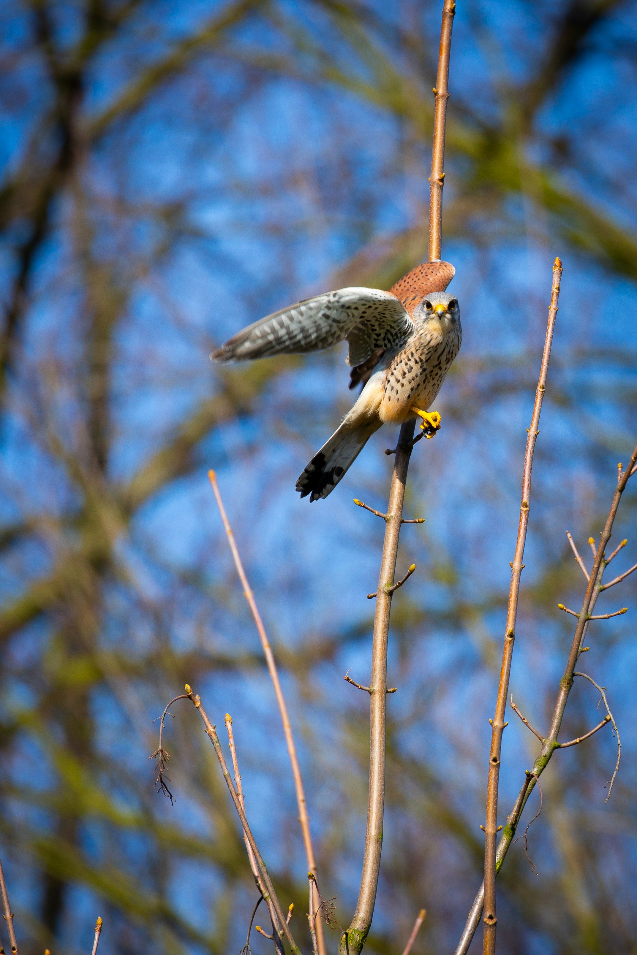 Photo by fotokoop