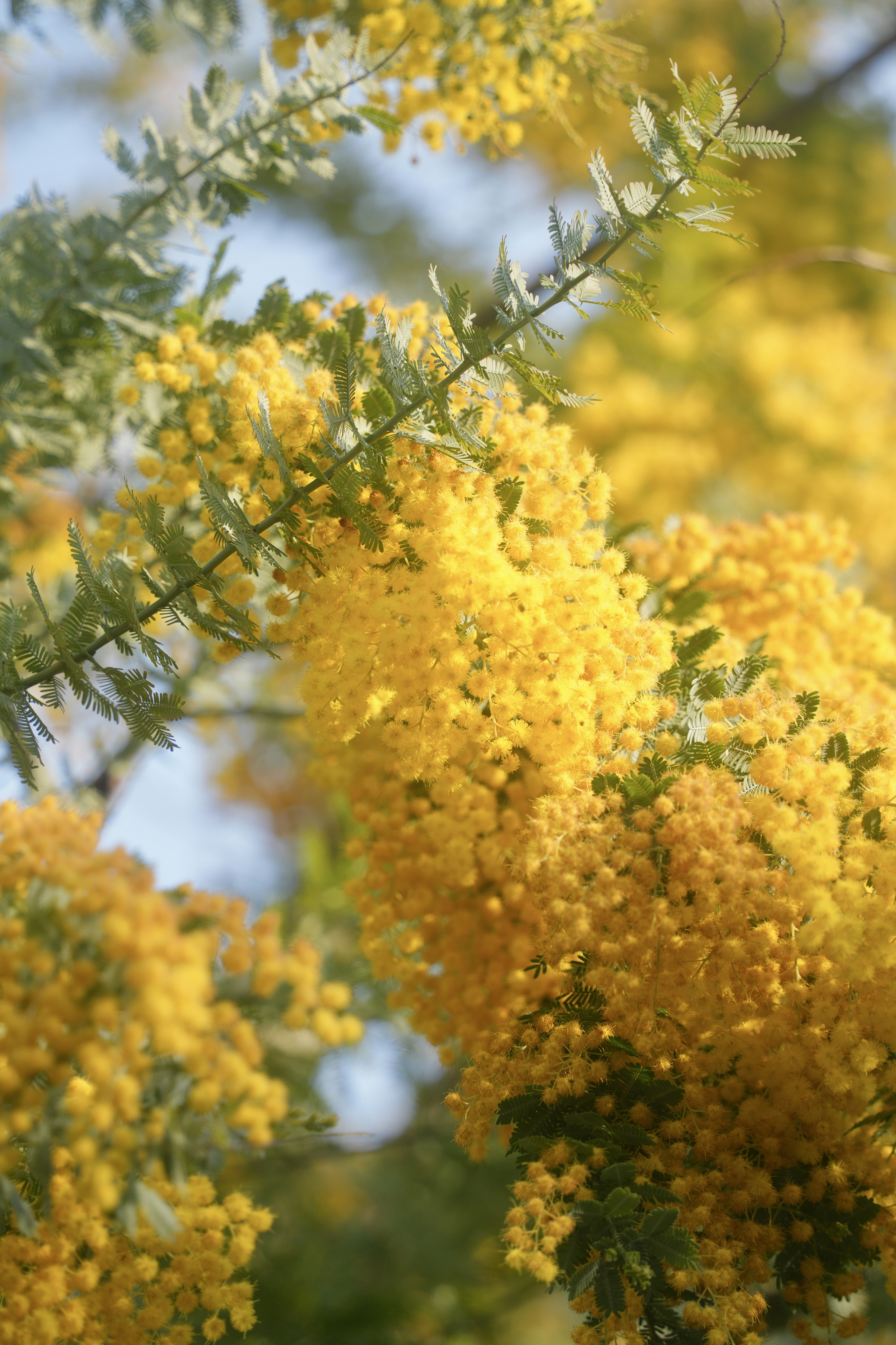 Photo by diadesigner