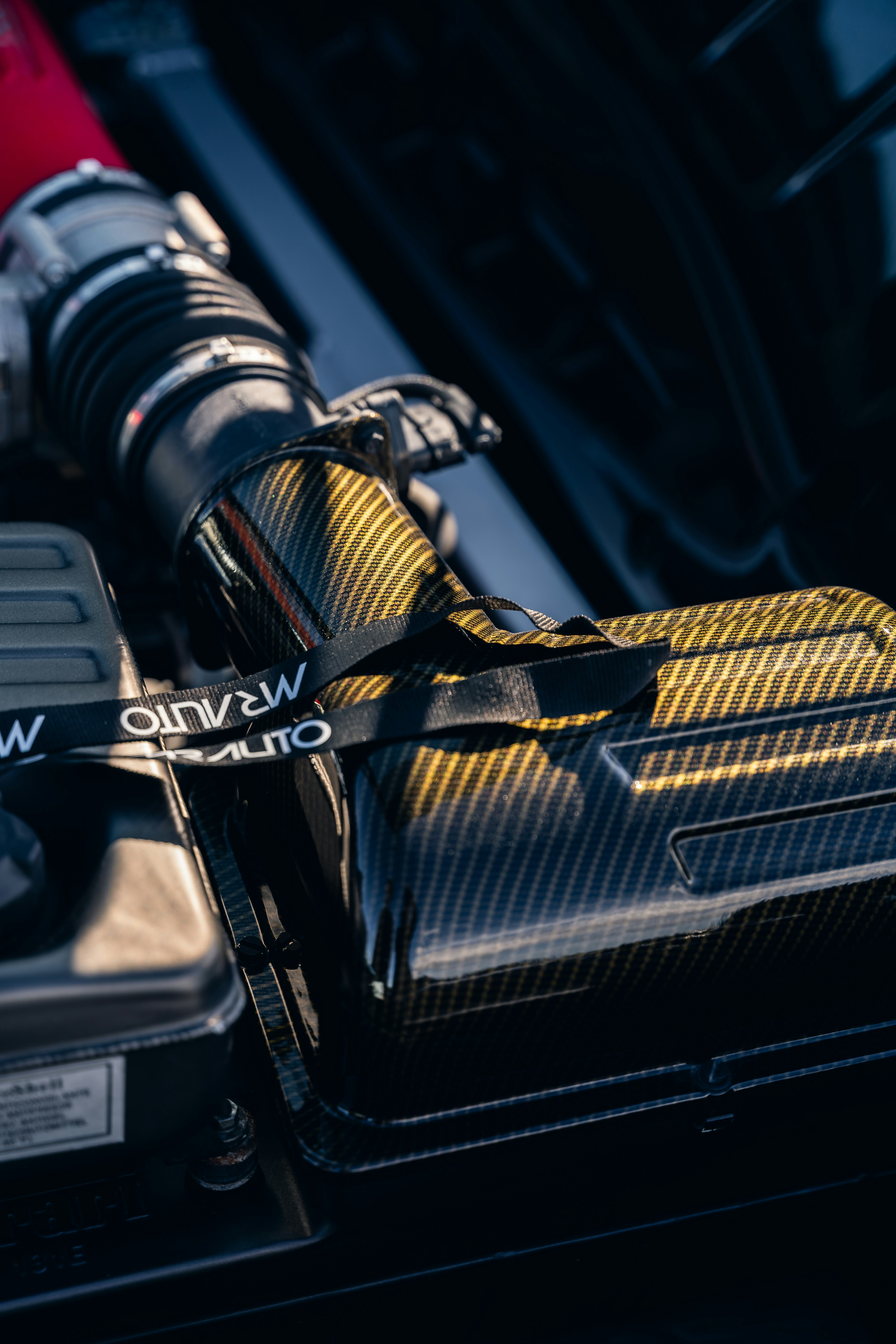 Photo by tiago_f_ferreira