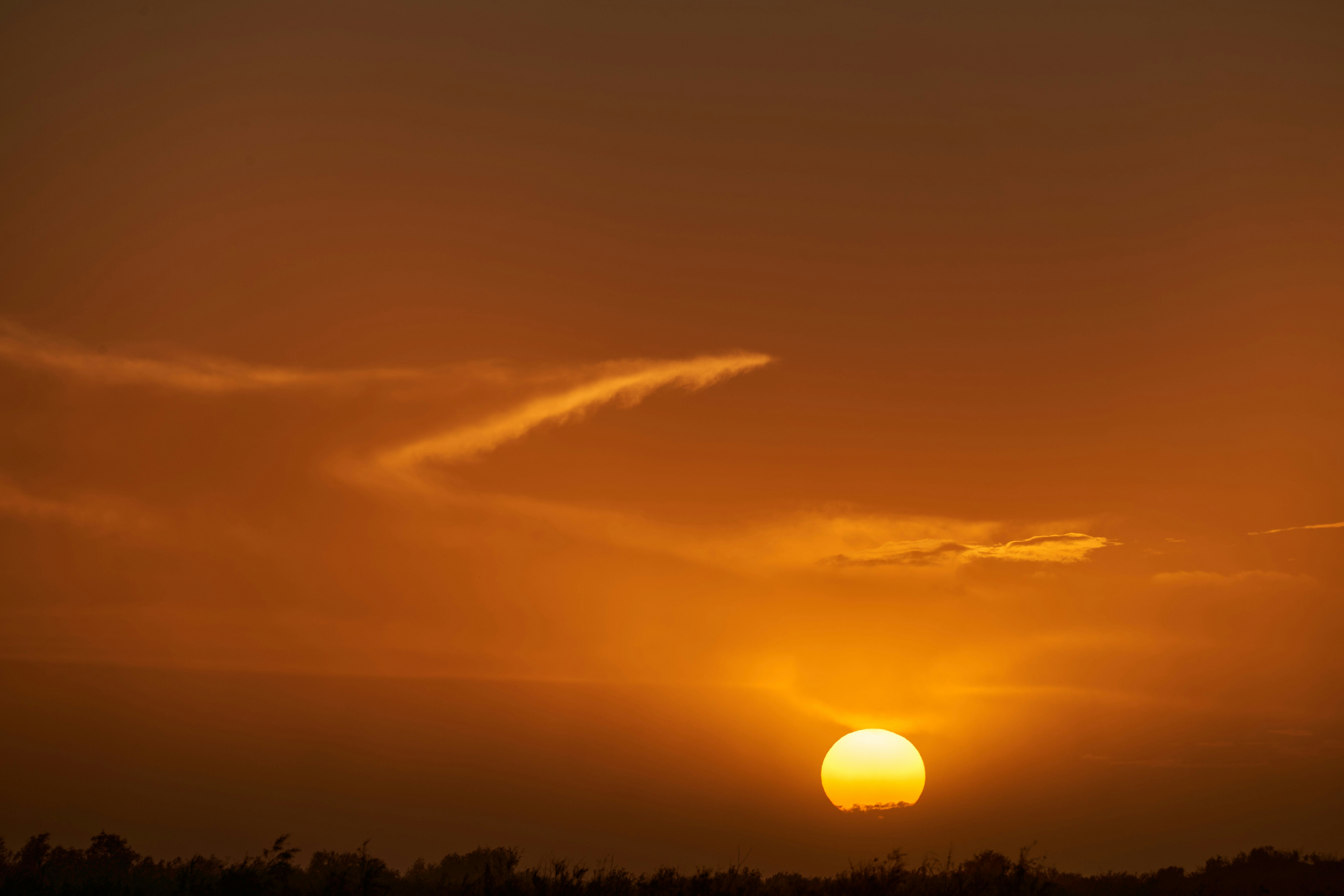 Photo by wolfgang_hasselmann