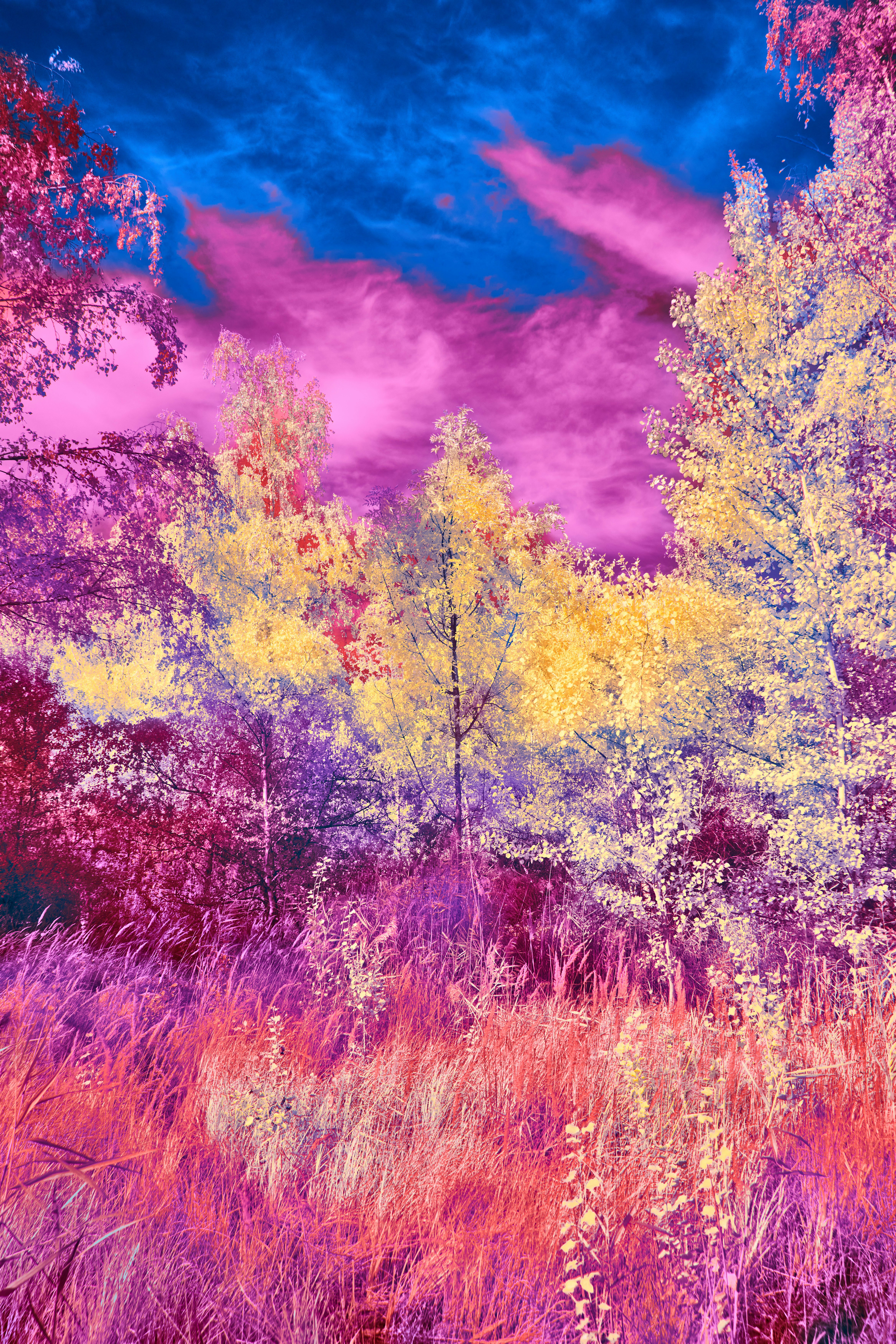 Photo by wolfgang_hasselmann