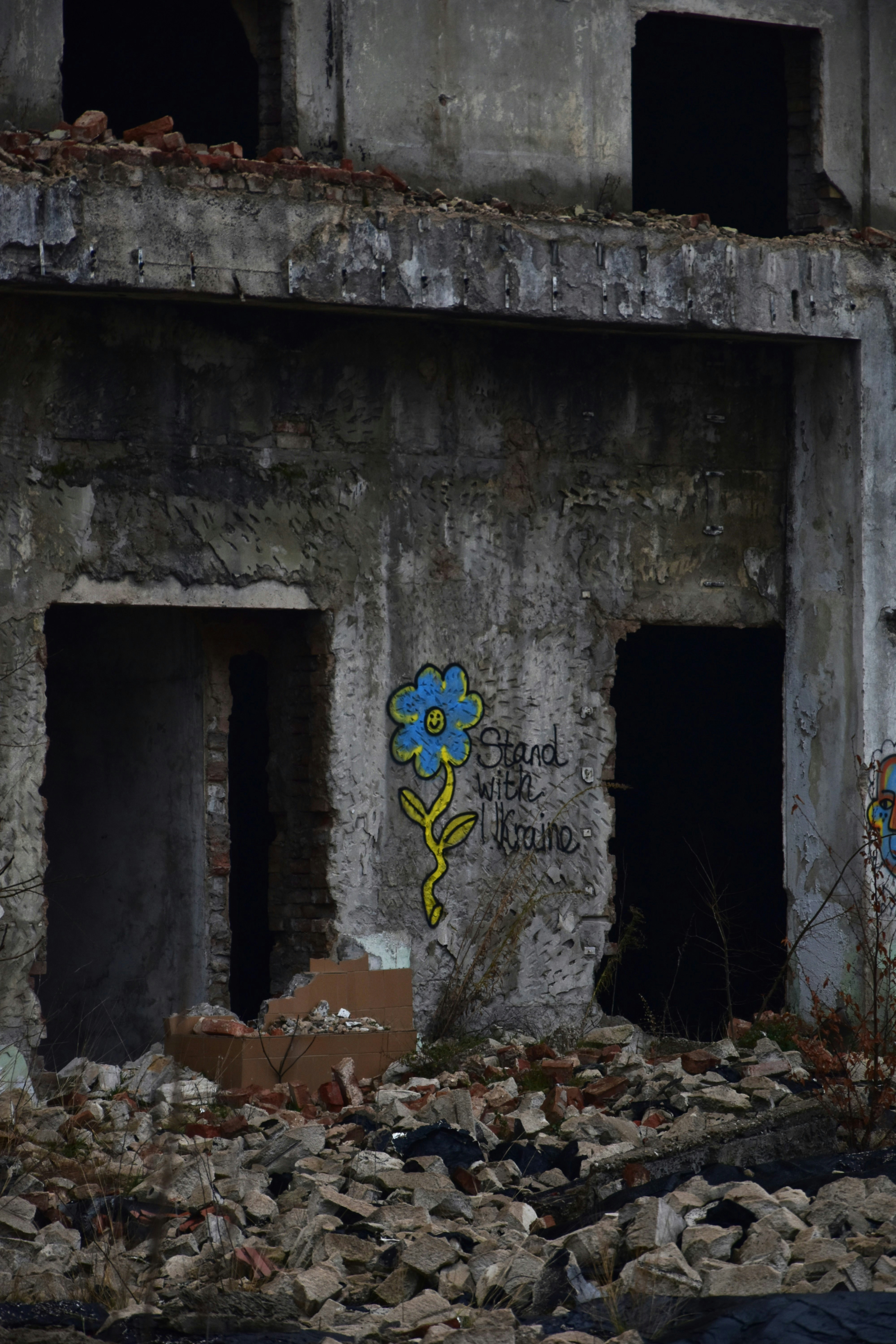 Debris and a flower decorate a decaying building.