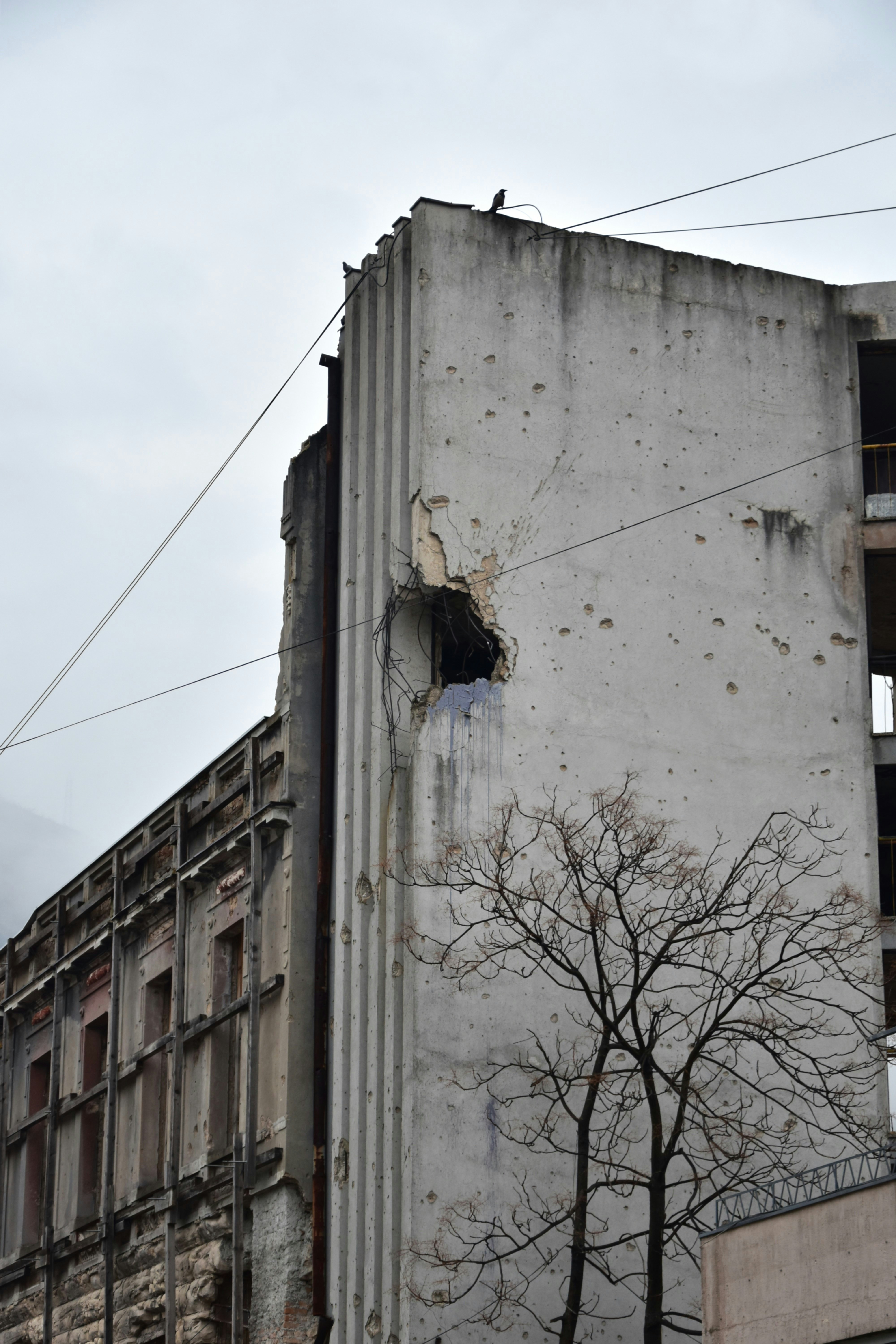 Damaged building shows evidence of war.