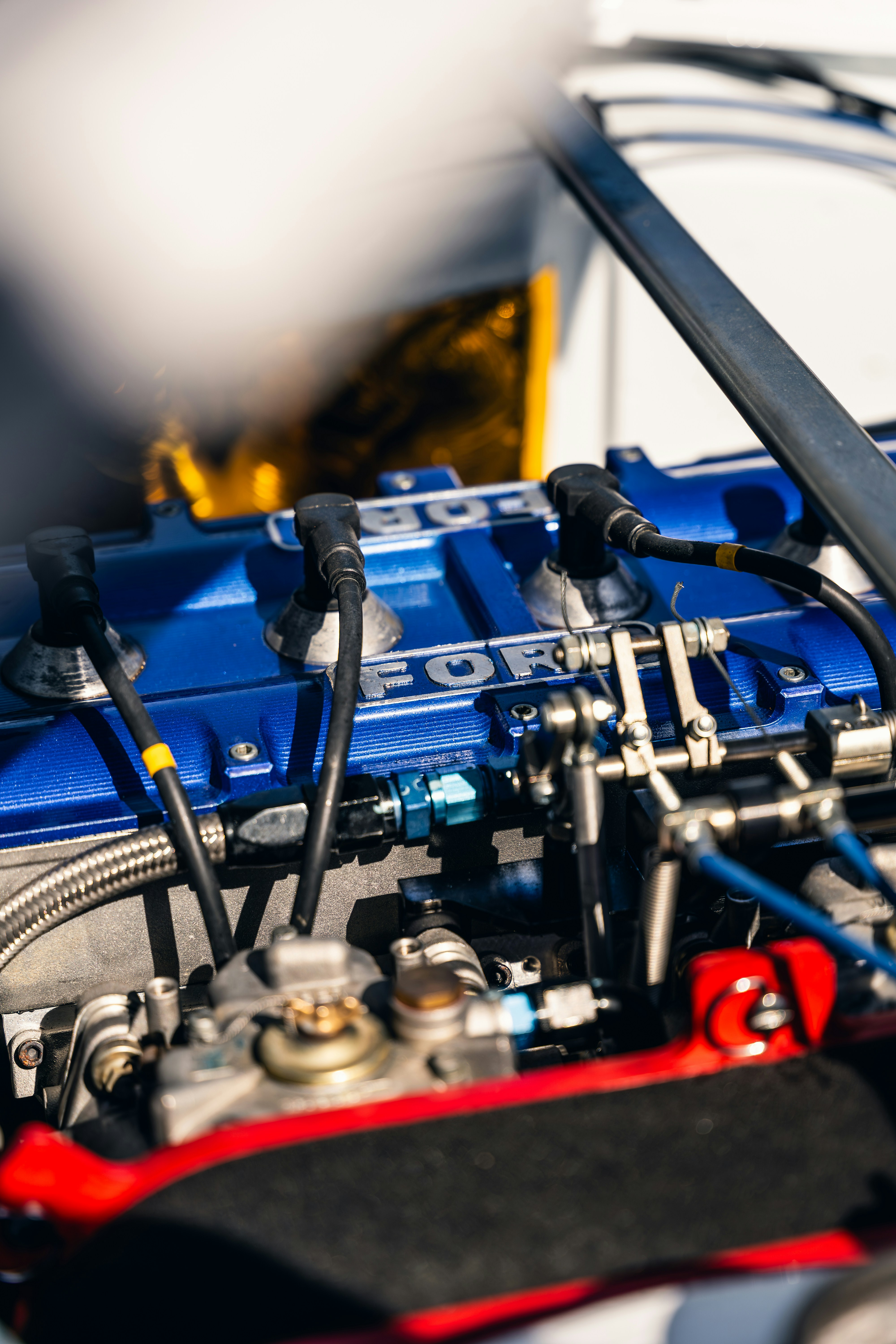 Photo by tiago_f_ferreira