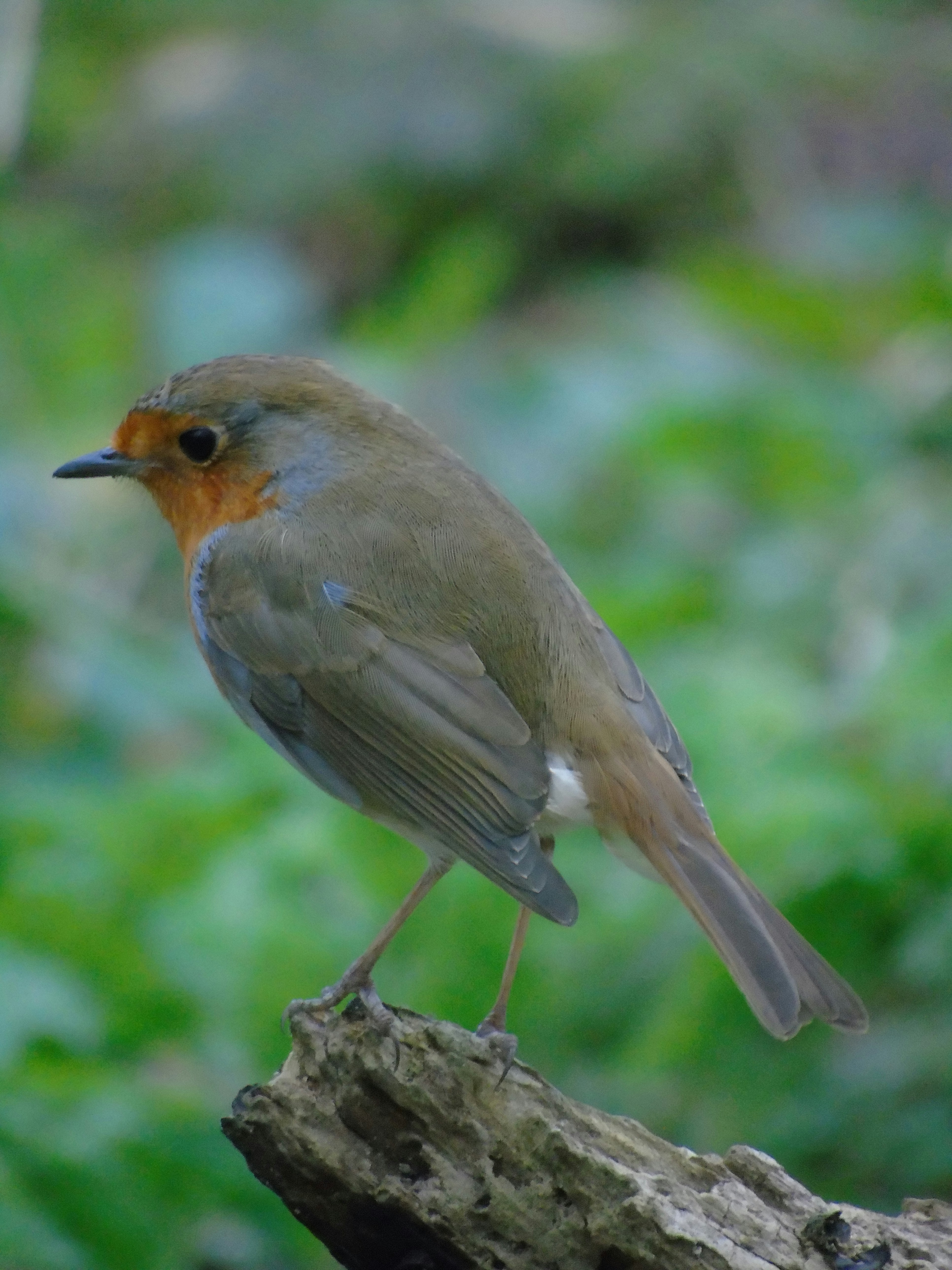 Photo by brookehannah