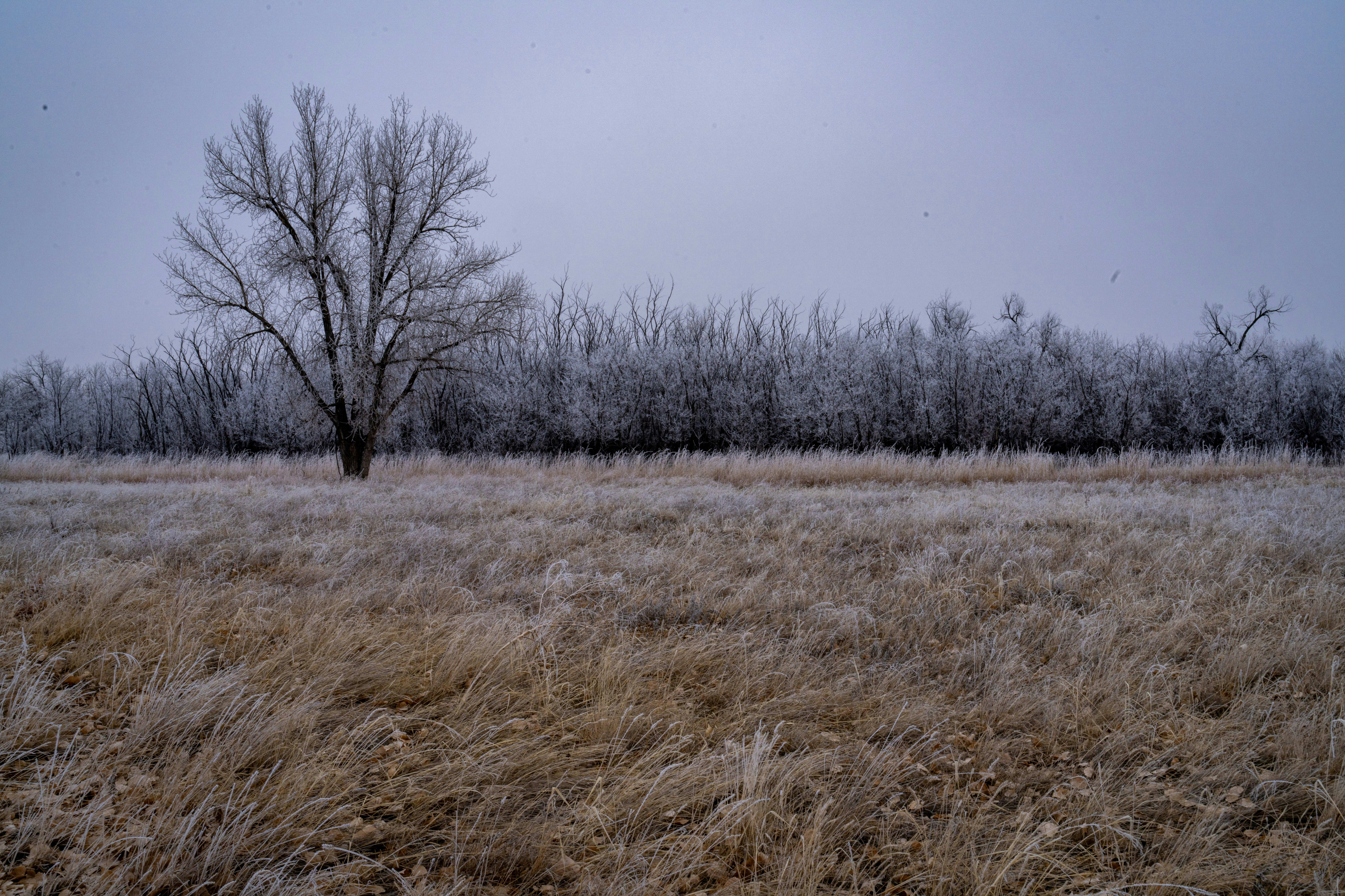 Photo by davidirelandmagnetic