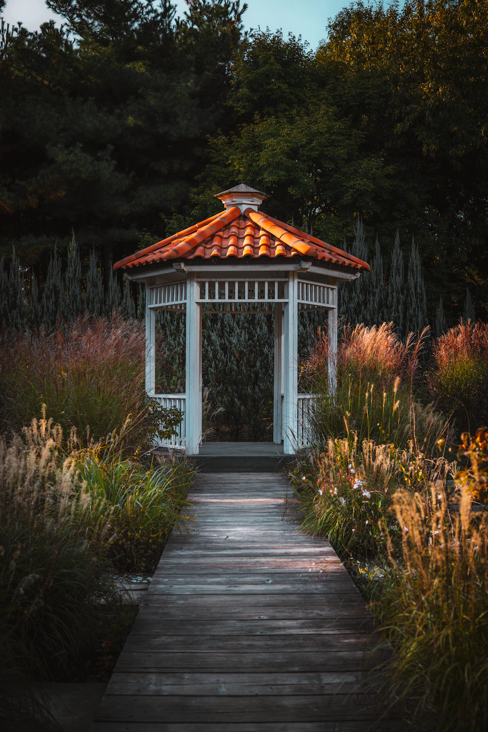Gazebo apri-chiudi per fiere e sagre