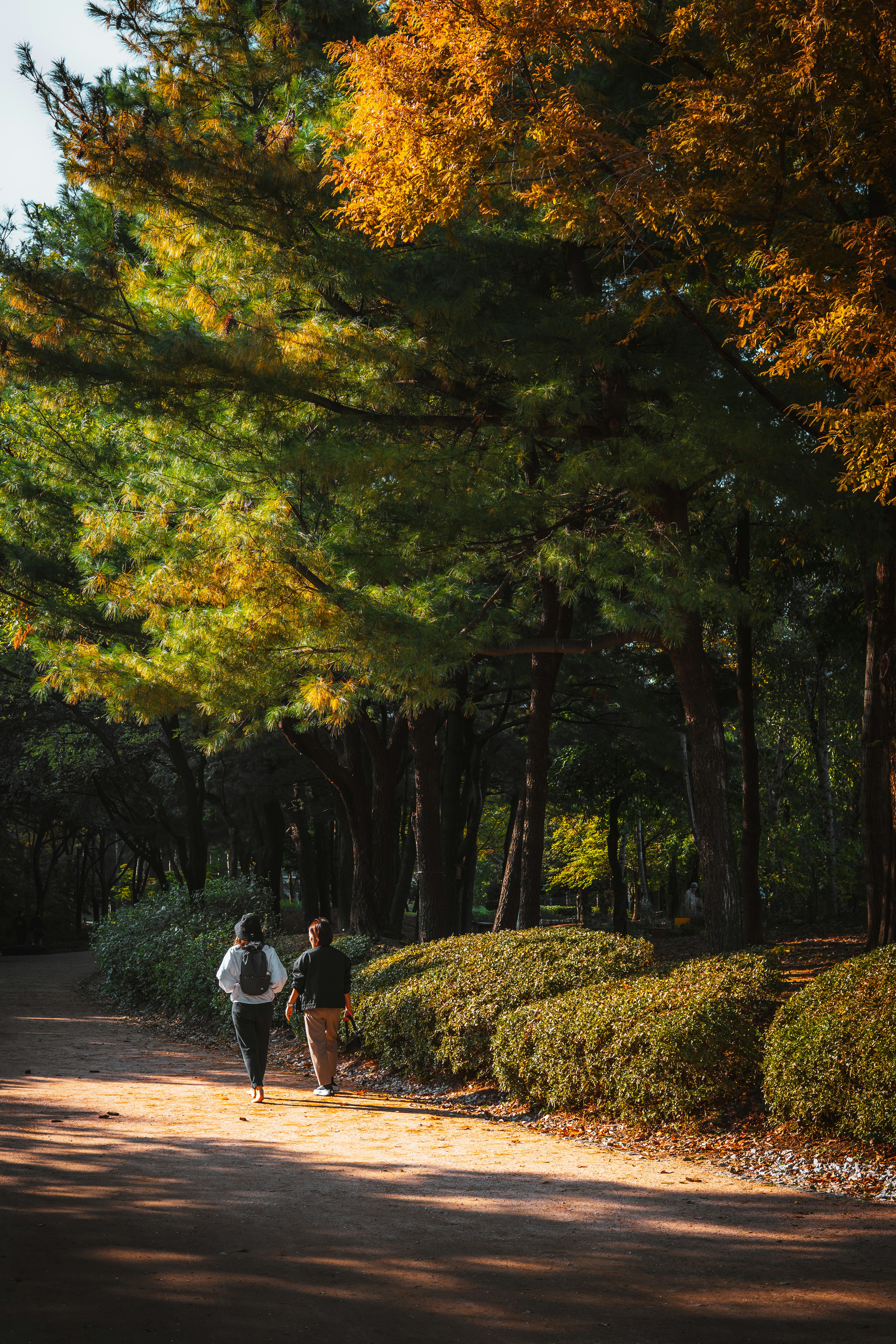 Photo by electerious