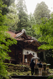 People walk towards a temple in the forest.