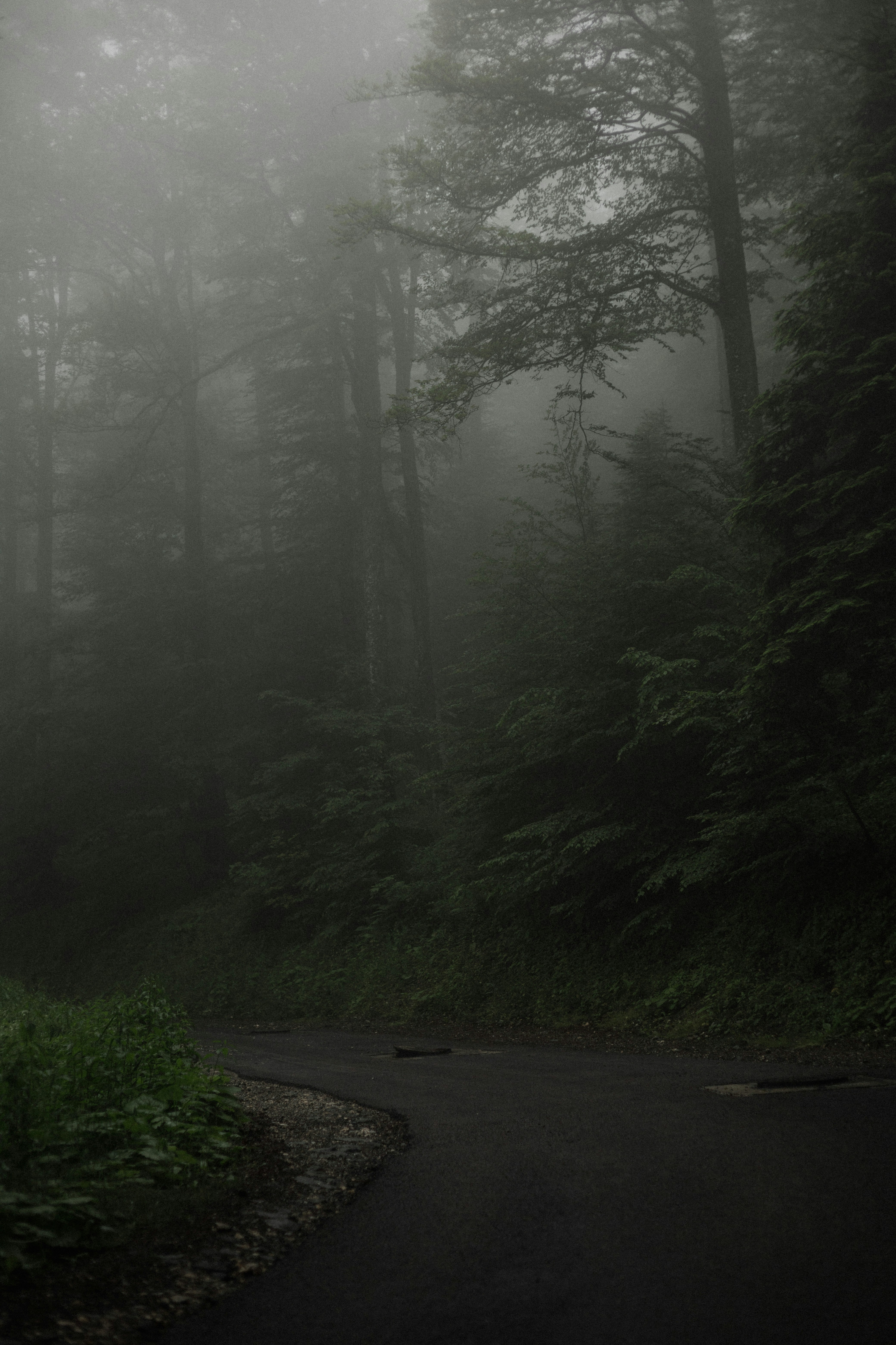 Photo by shotinmoment_