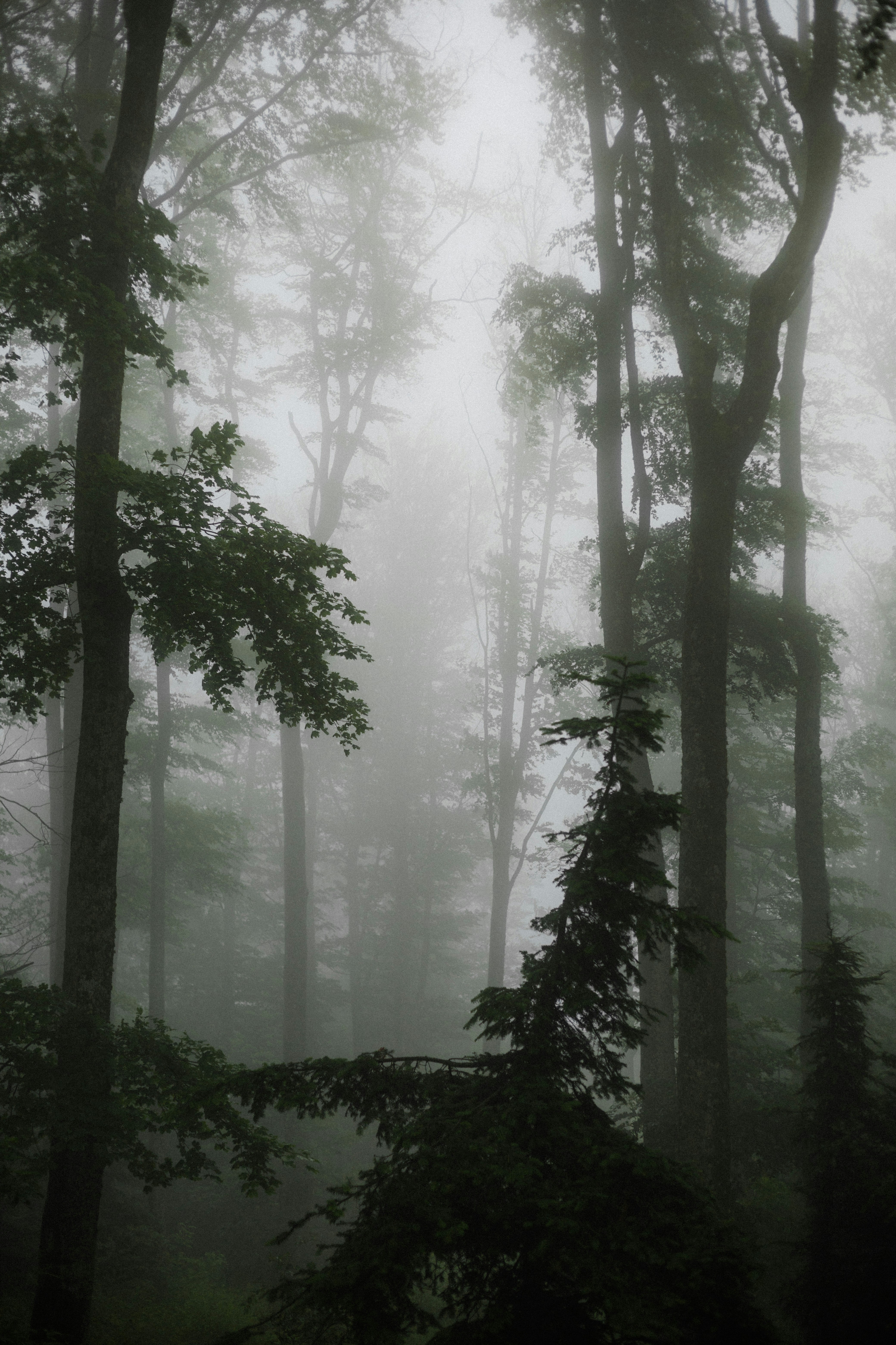 Photo by shotinmoment_