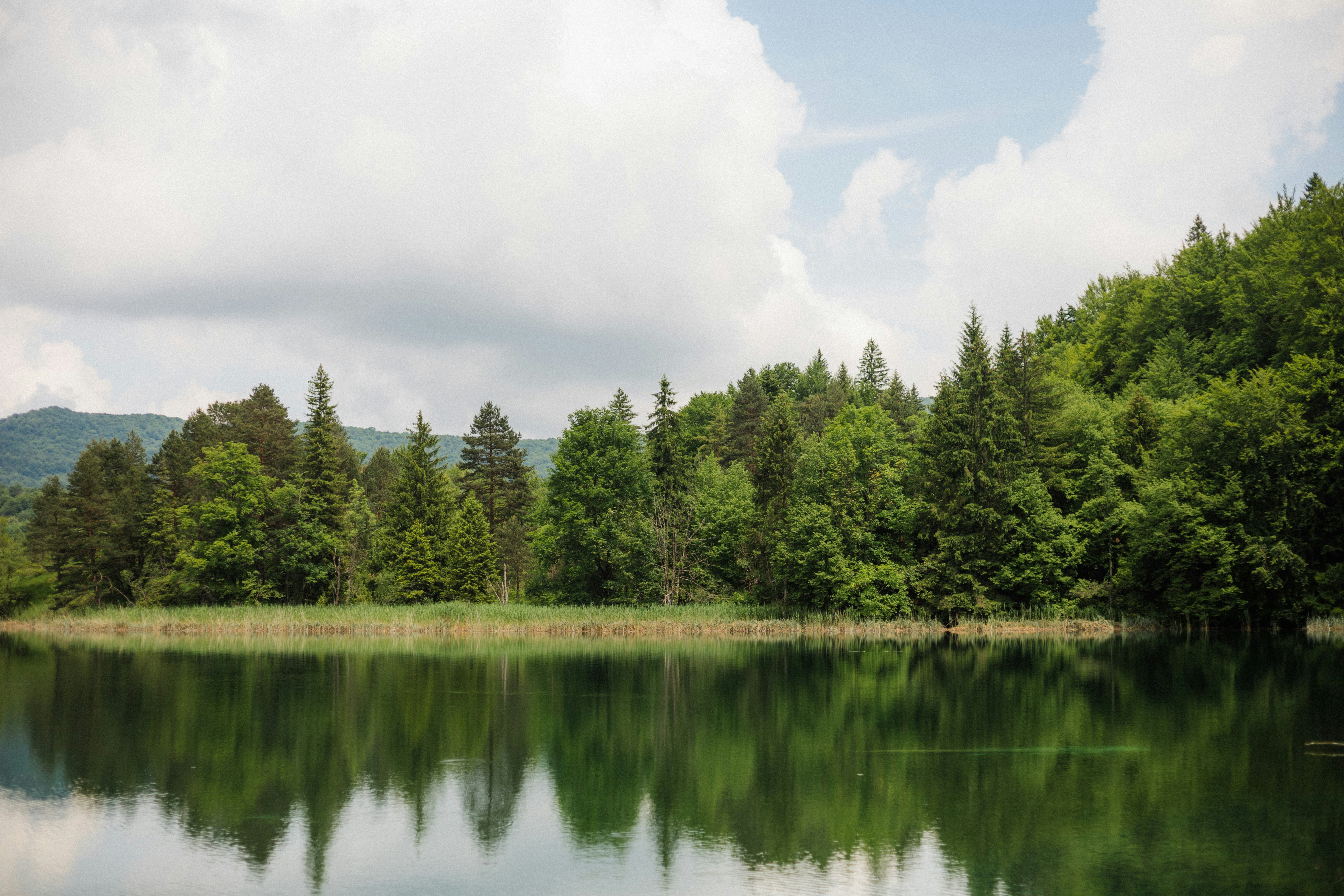 Photo by shotinmoment_