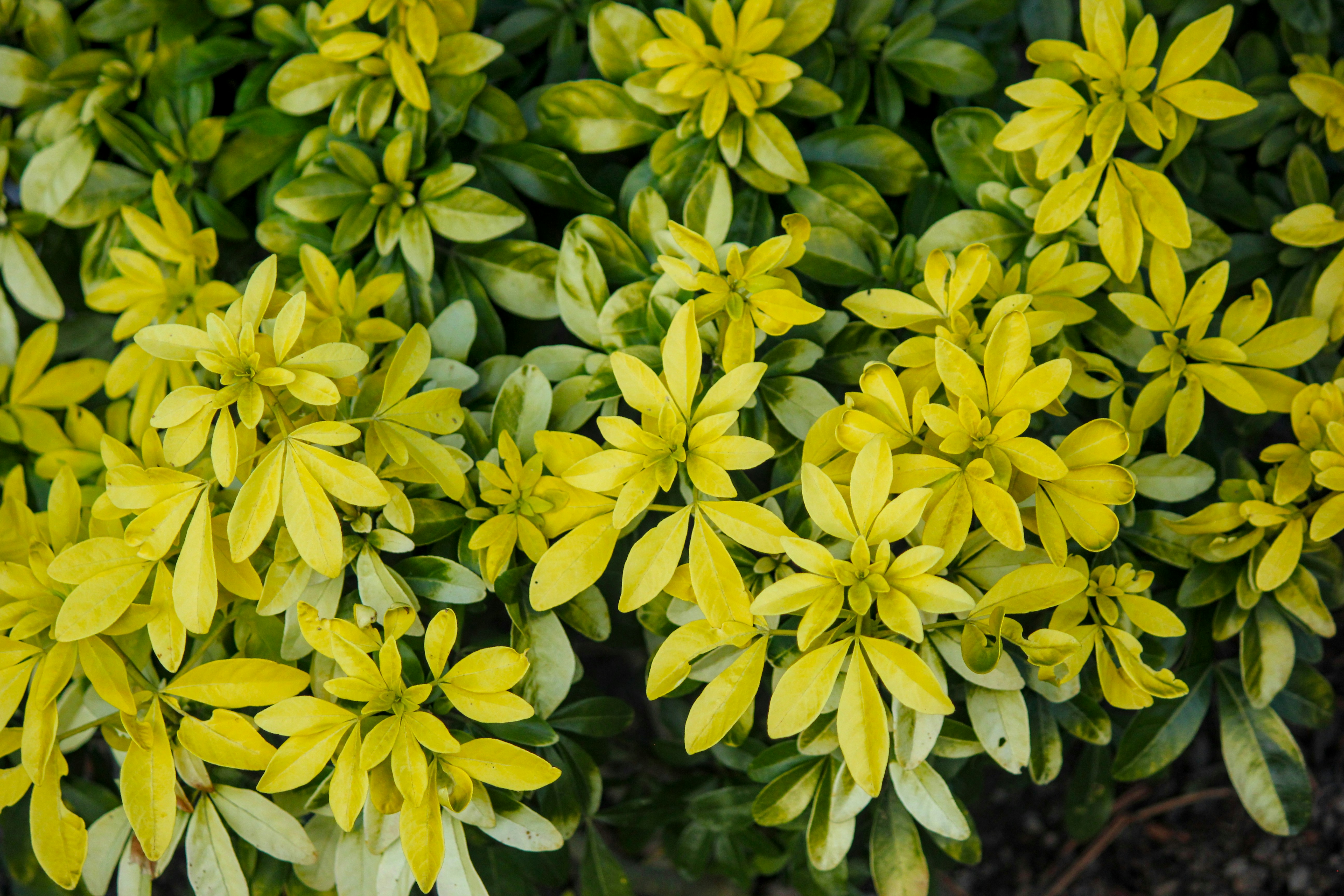 Photo by guynamedzero