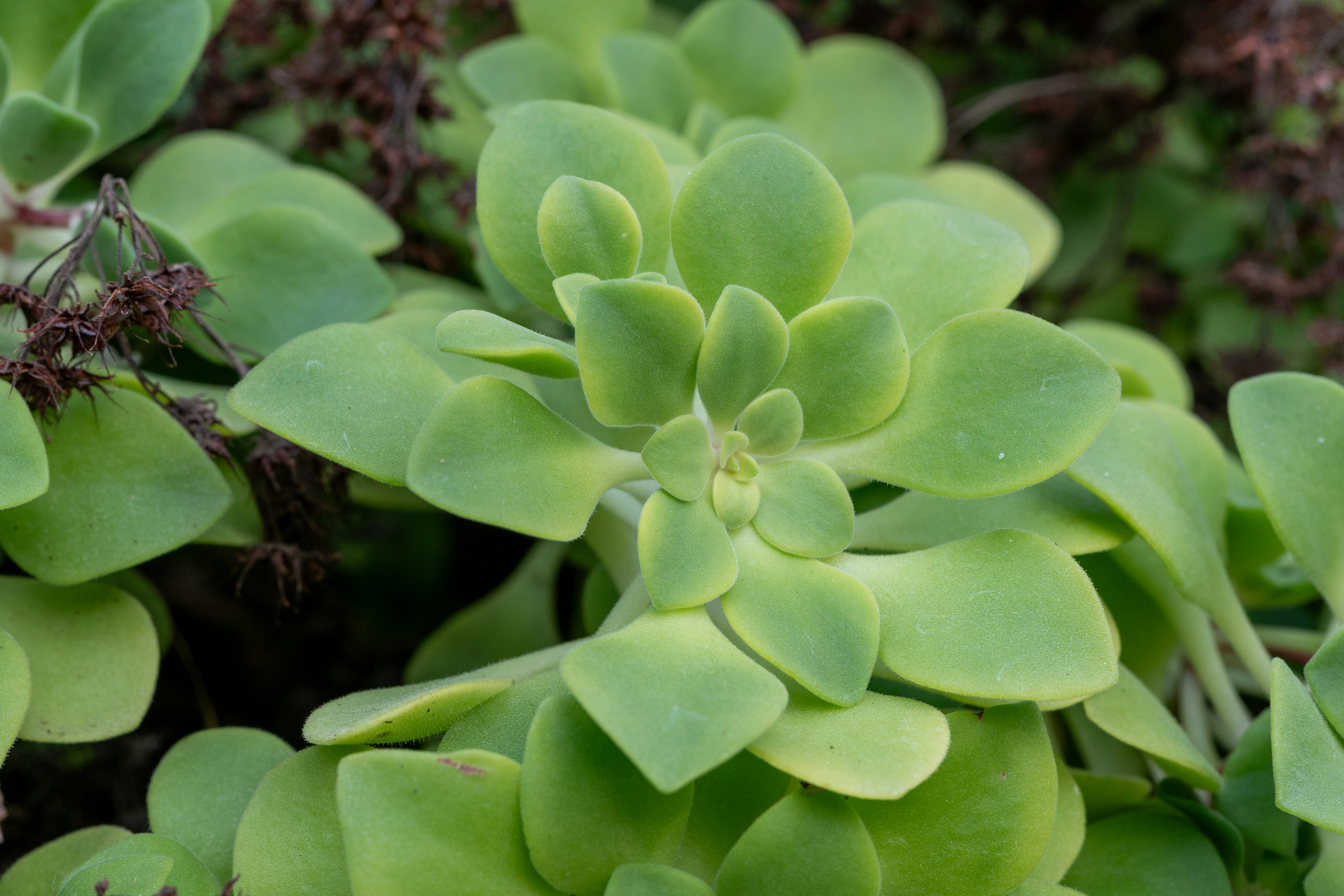 Photo by robertschwarz