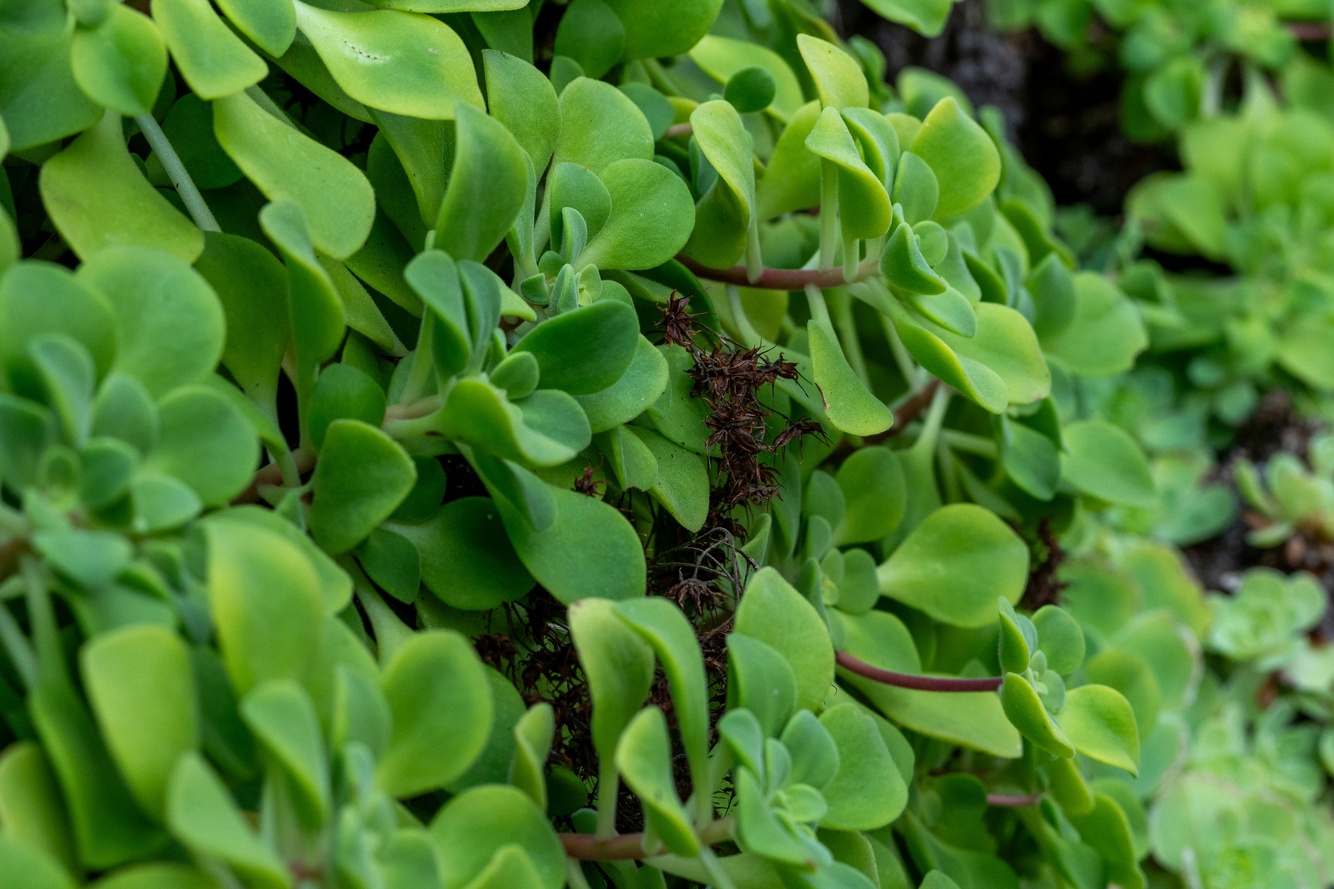 Photo by robertschwarz