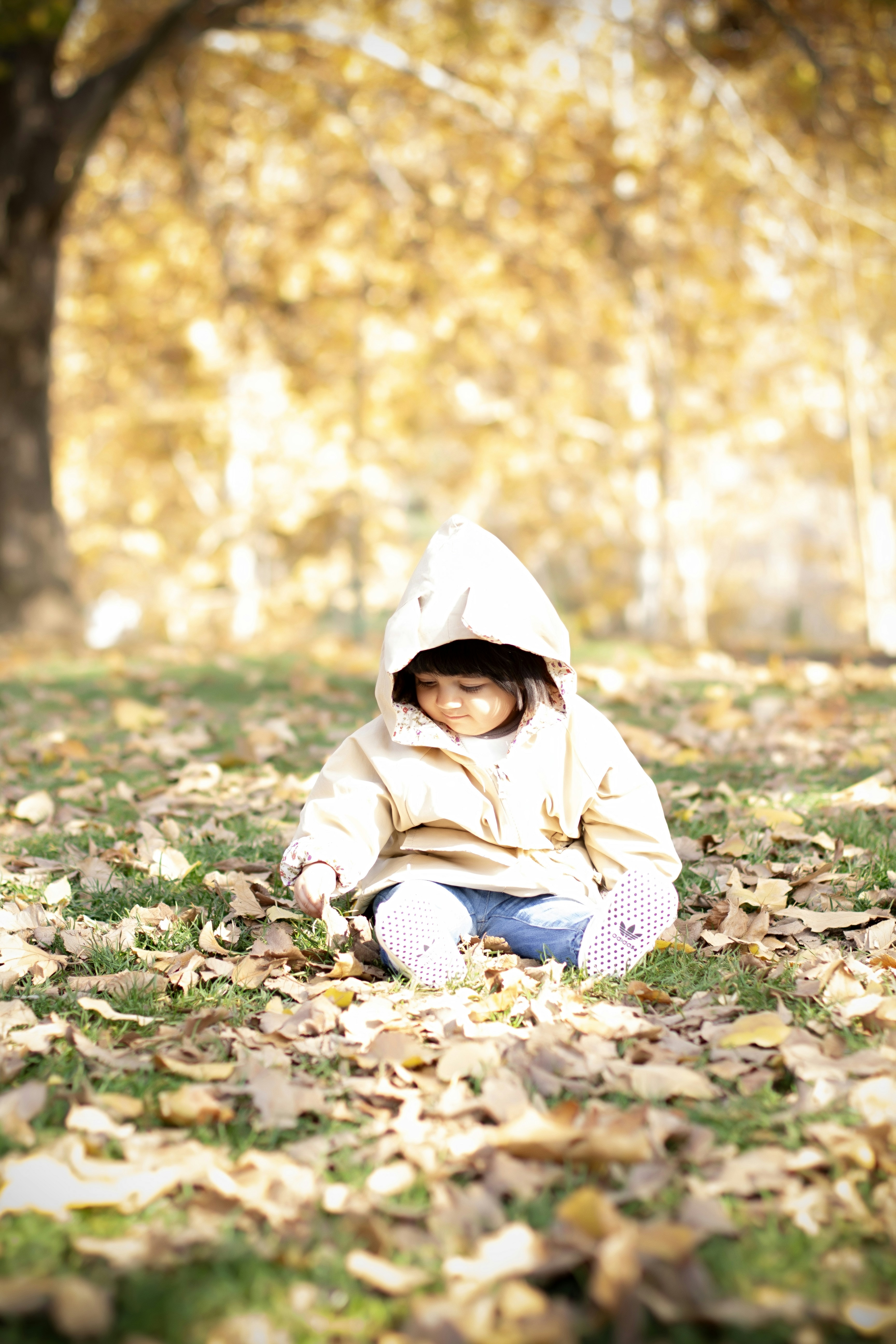 Photo by asalmashkoori