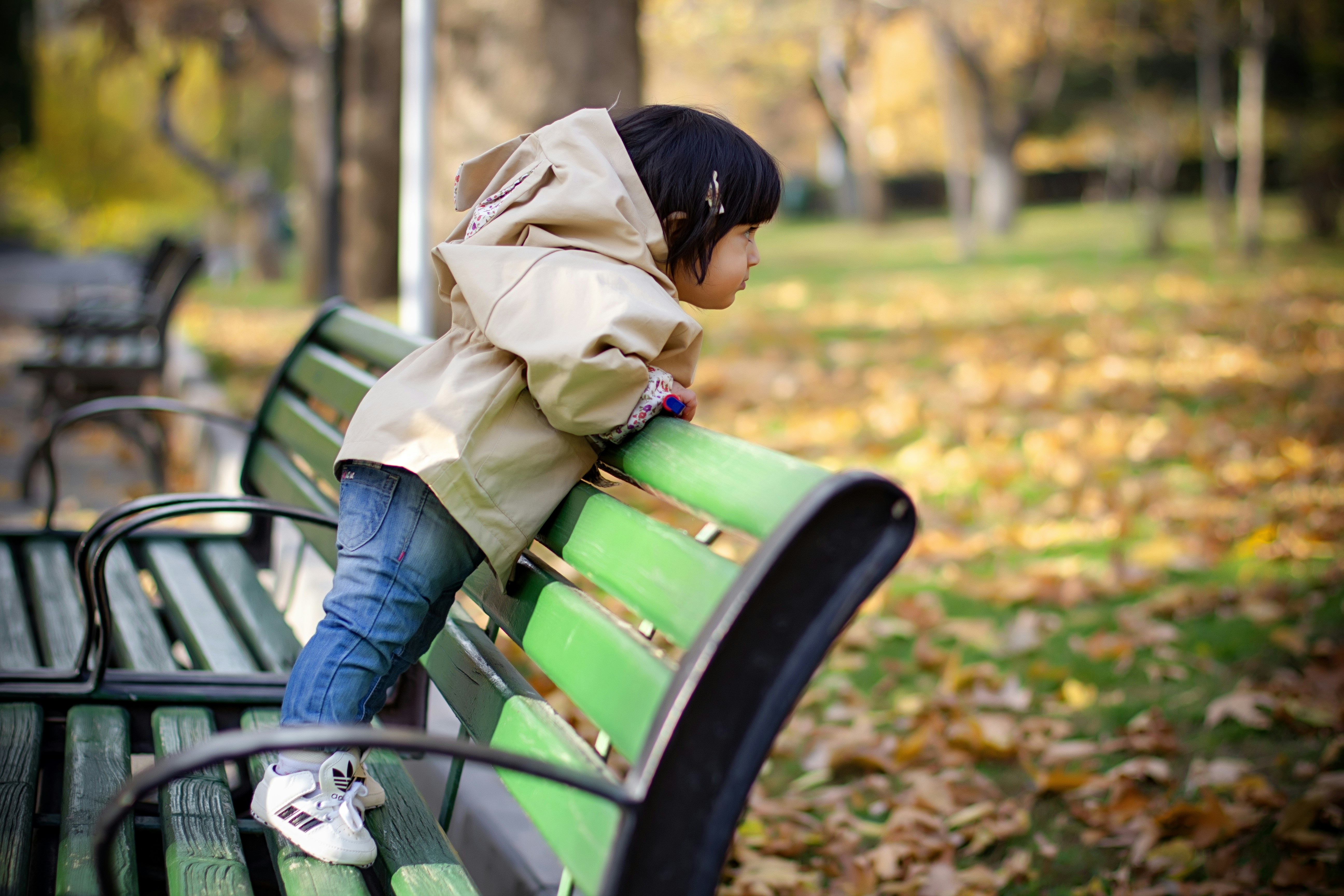 Photo by asalmashkoori