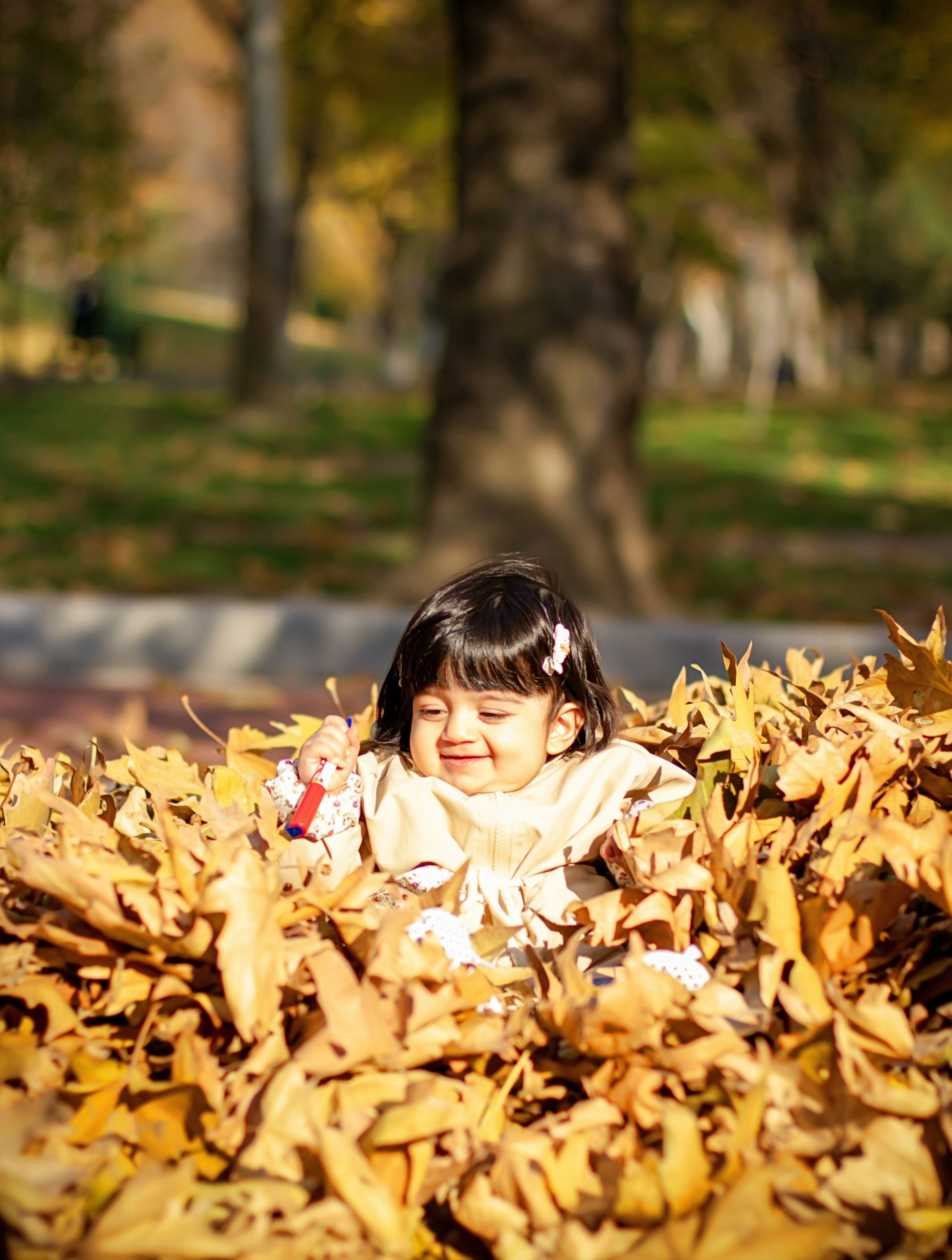 Photo by asalmashkoori