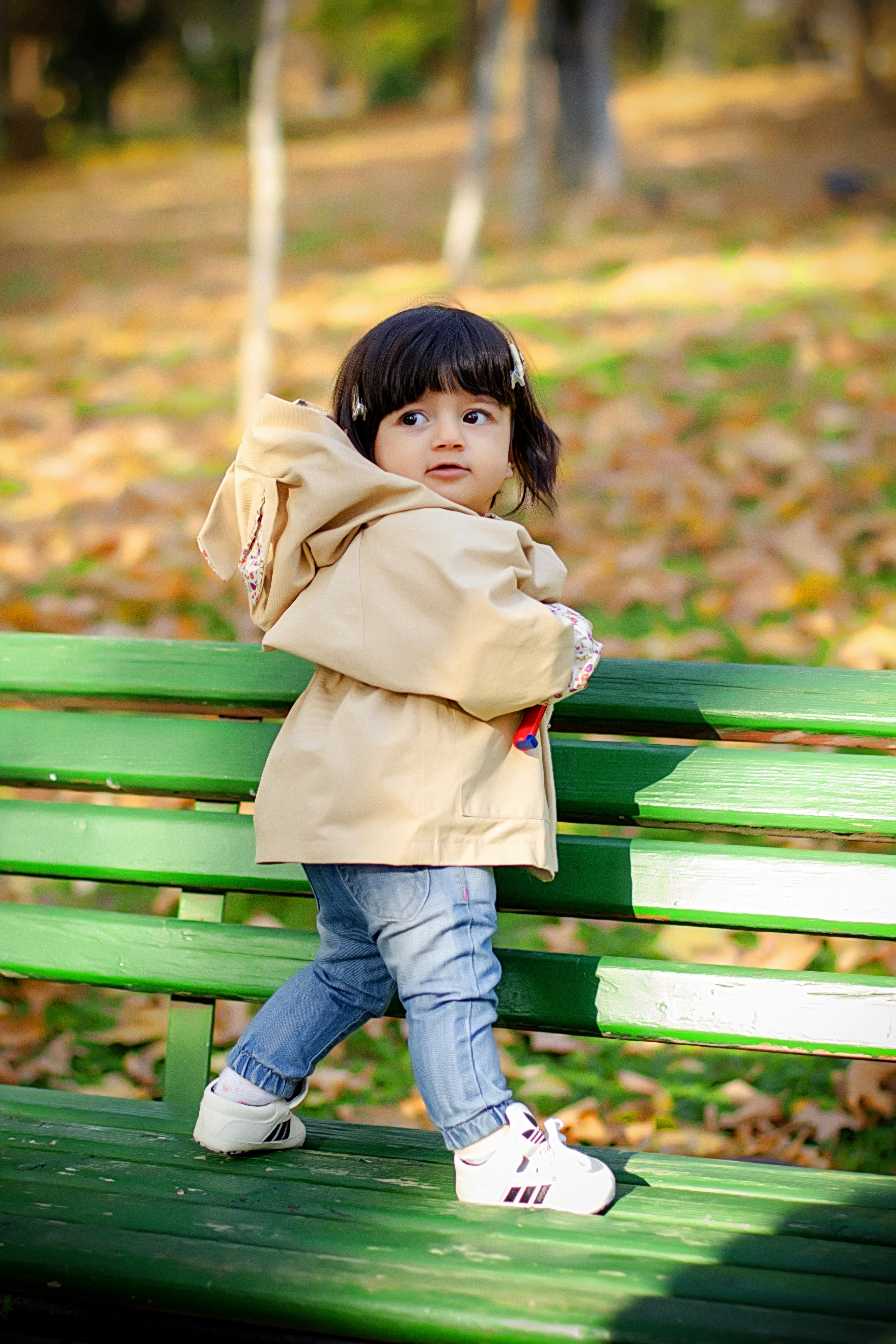 Photo by asalmashkoori