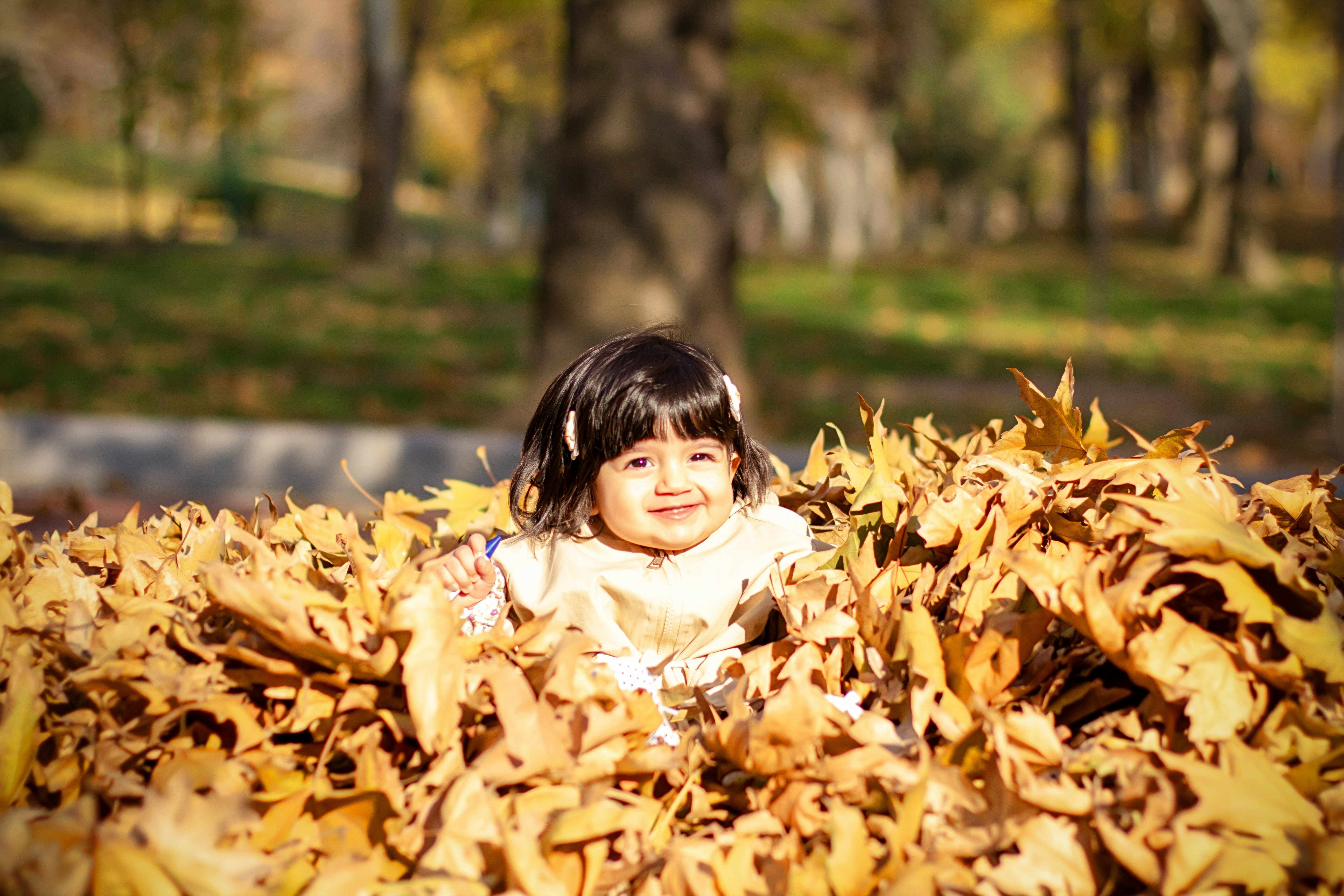 Photo by asalmashkoori