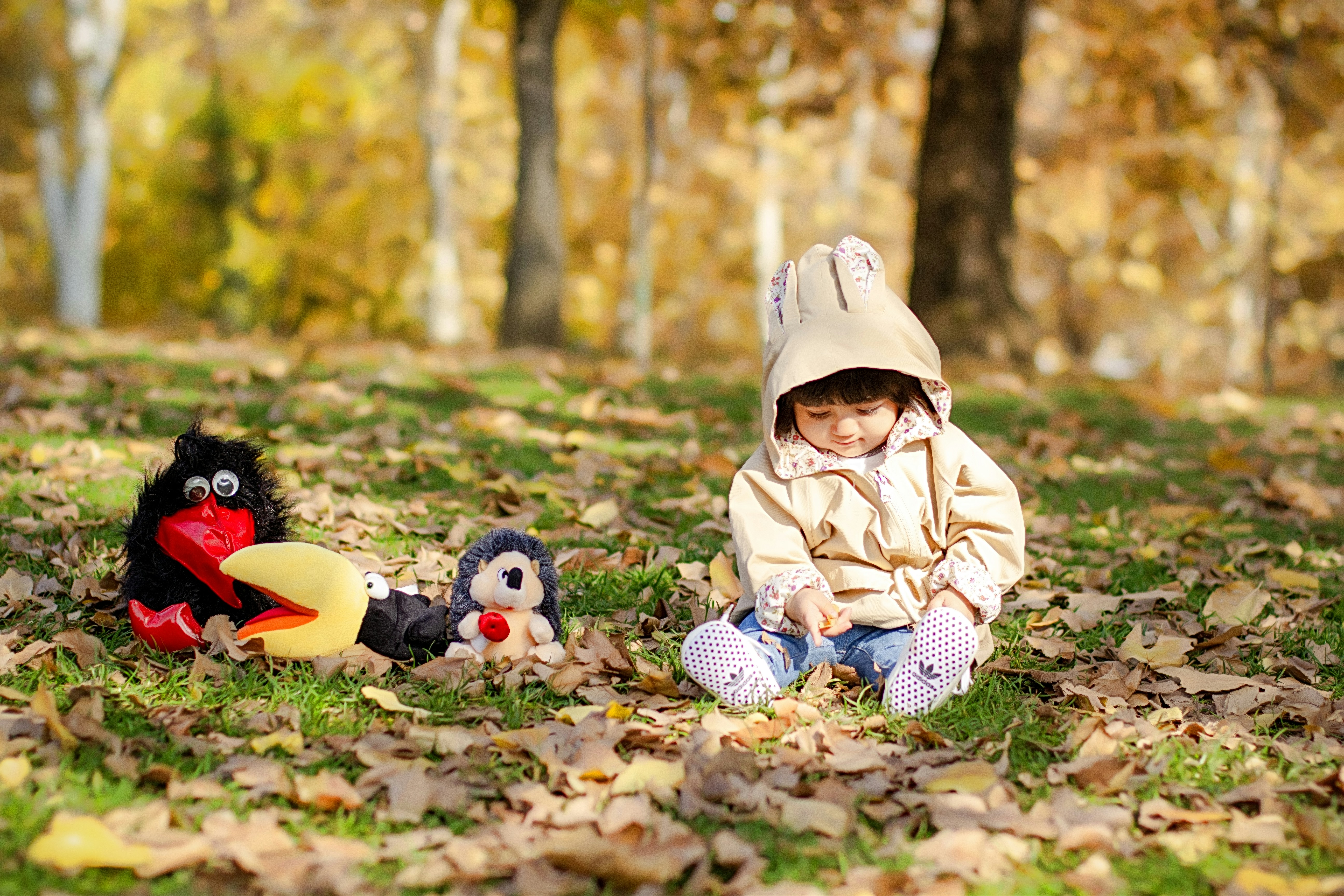 Photo by asalmashkoori