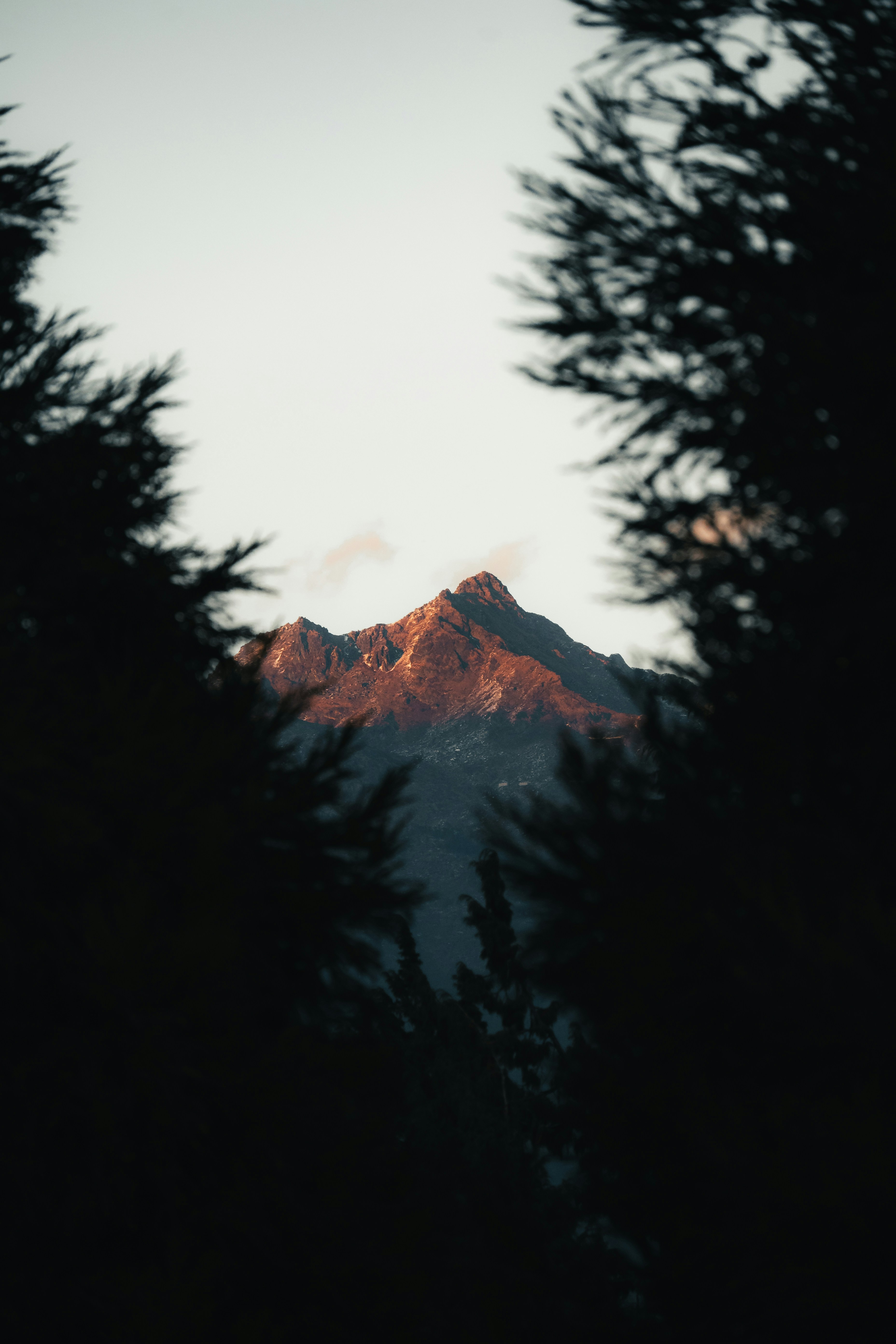 Photo by capturedbysarthak