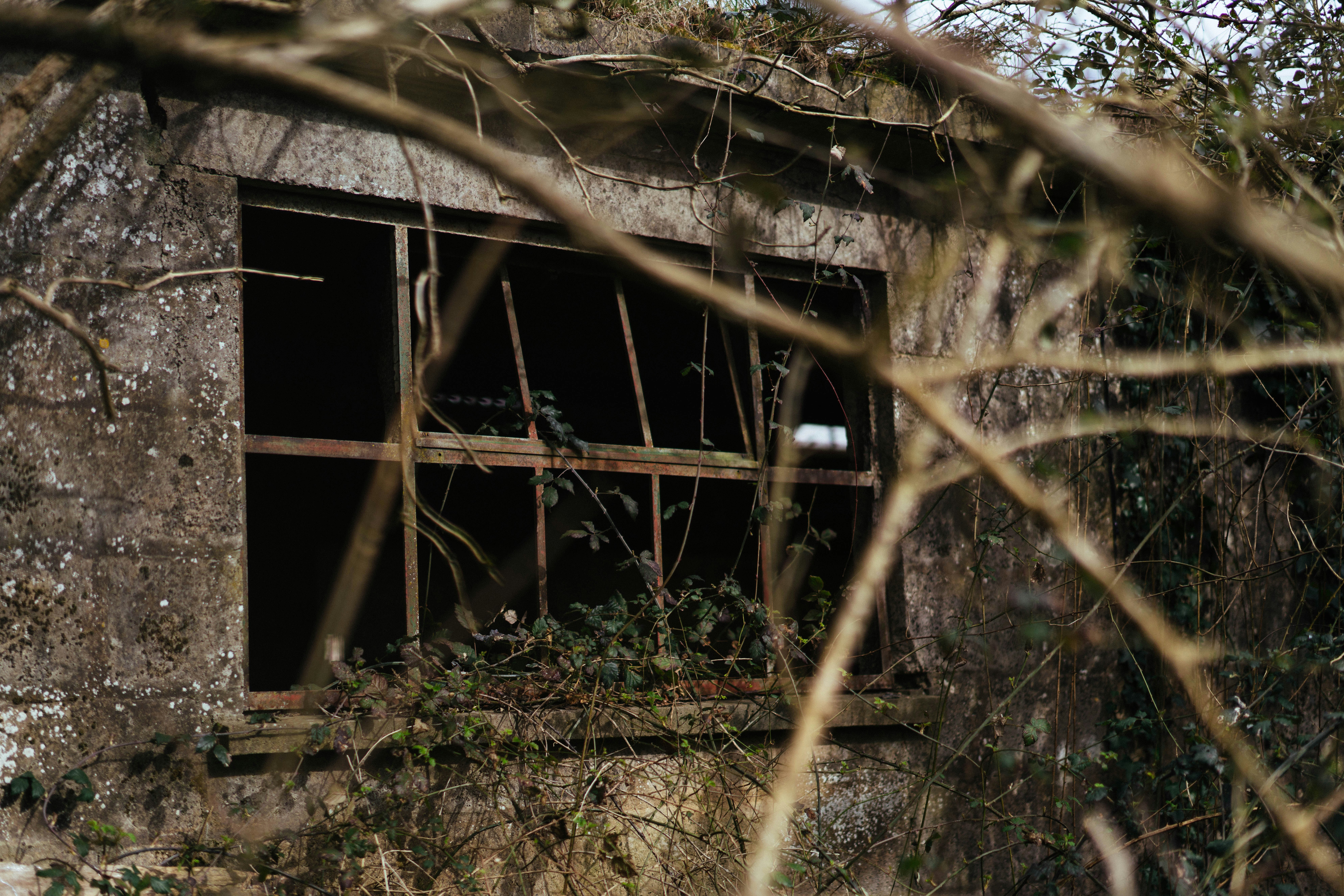 Photo by philhearing