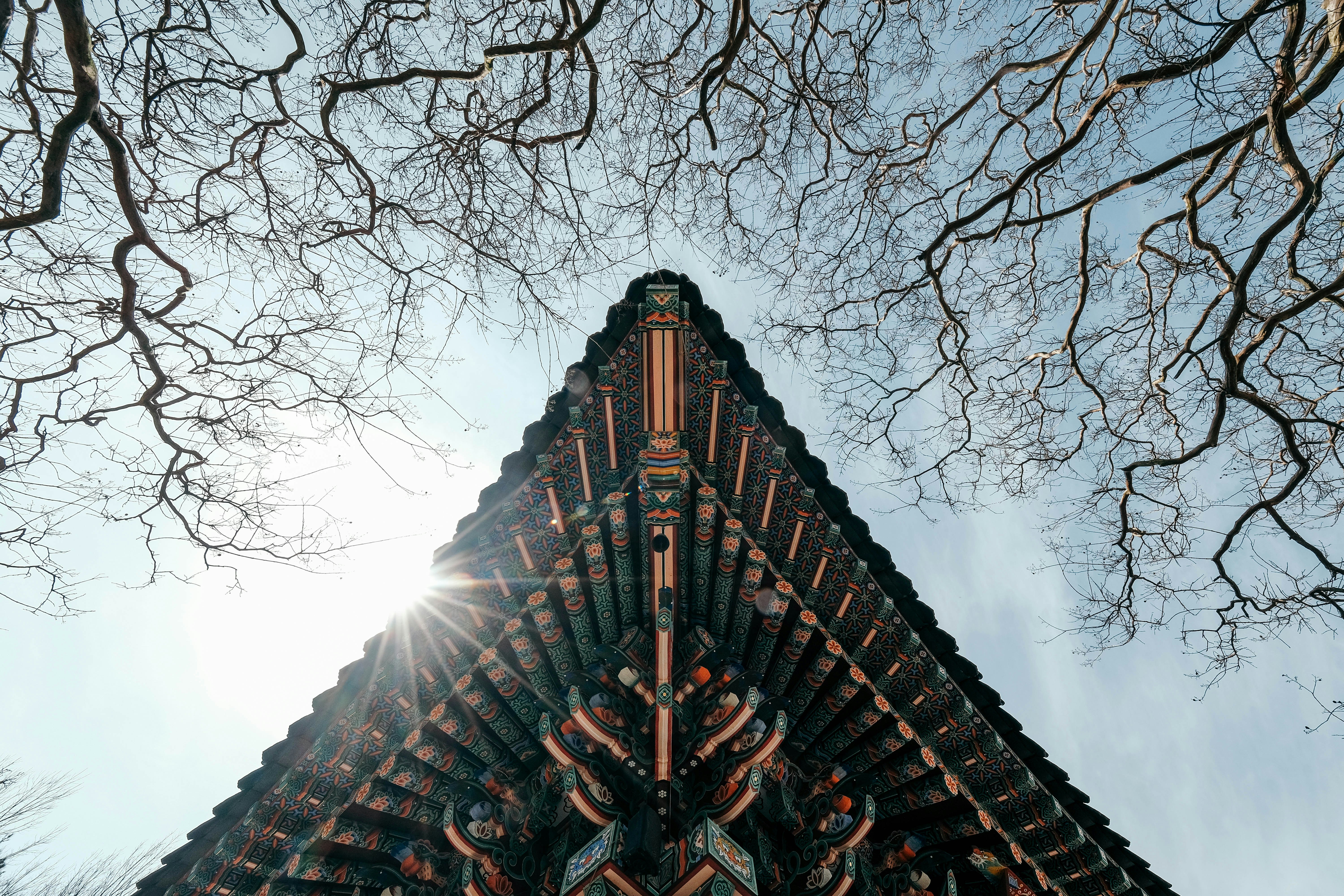 枝と晴れた空のある寺院の屋根。