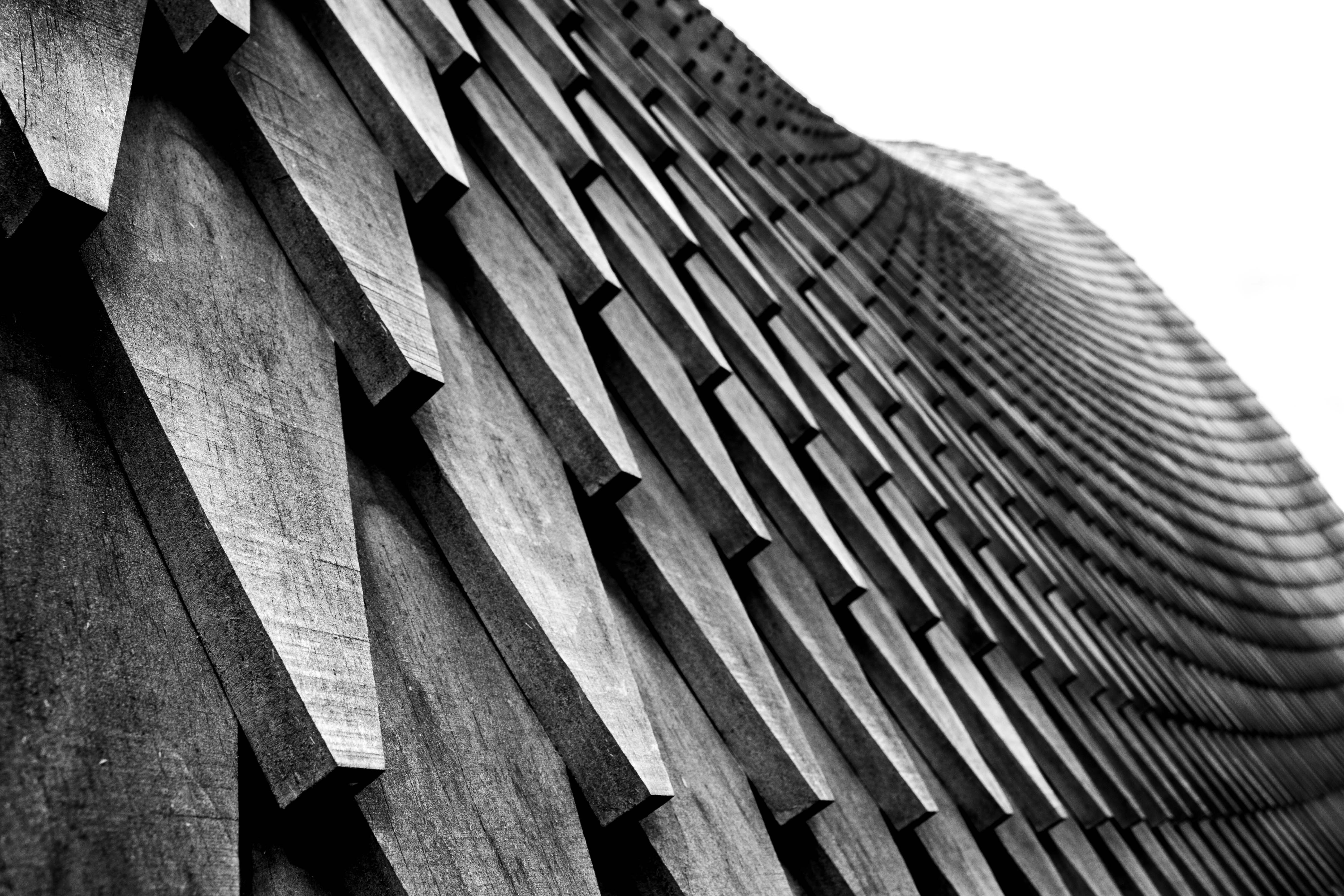 Photo by kamillaisalieva