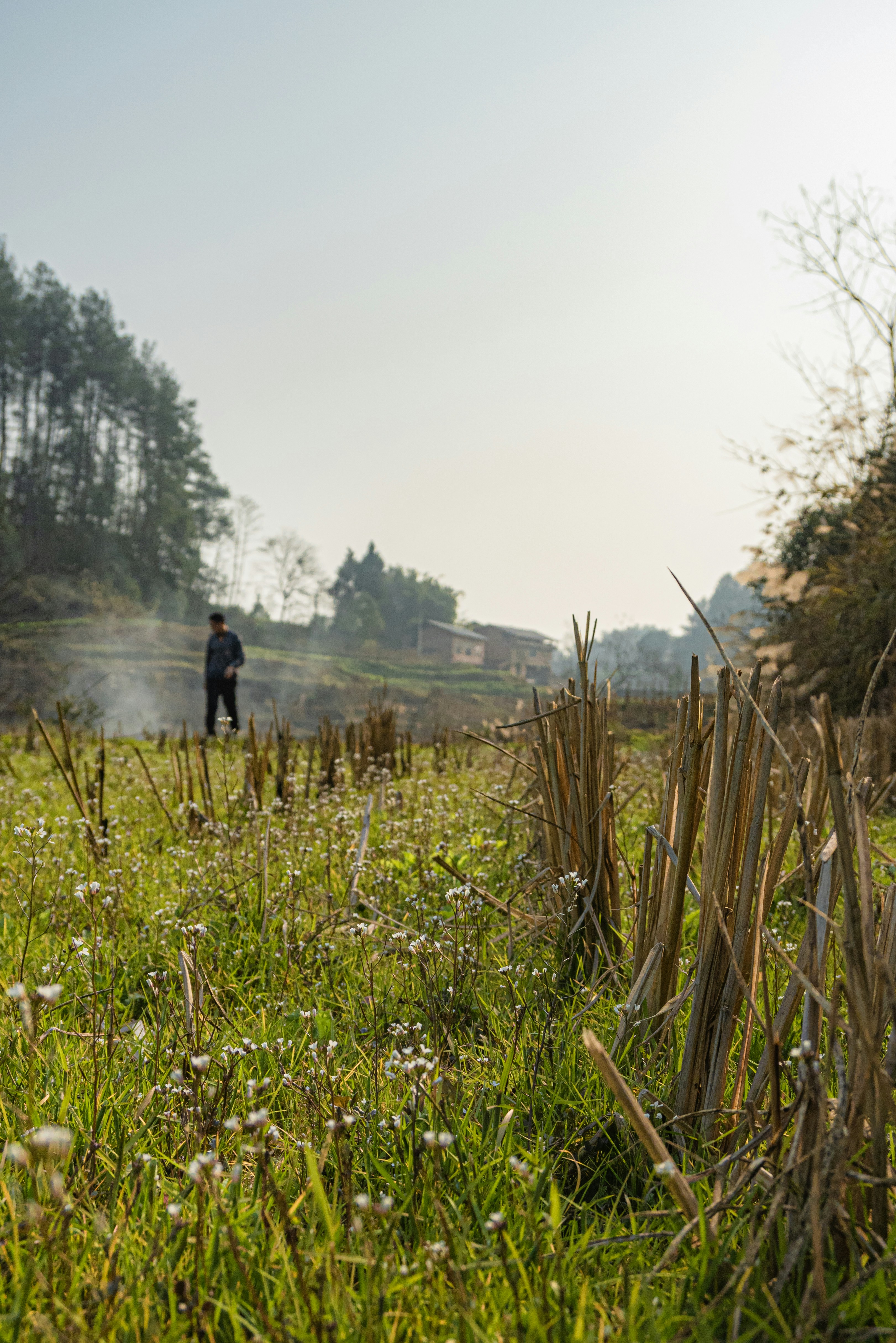 Photo by nyenchen
