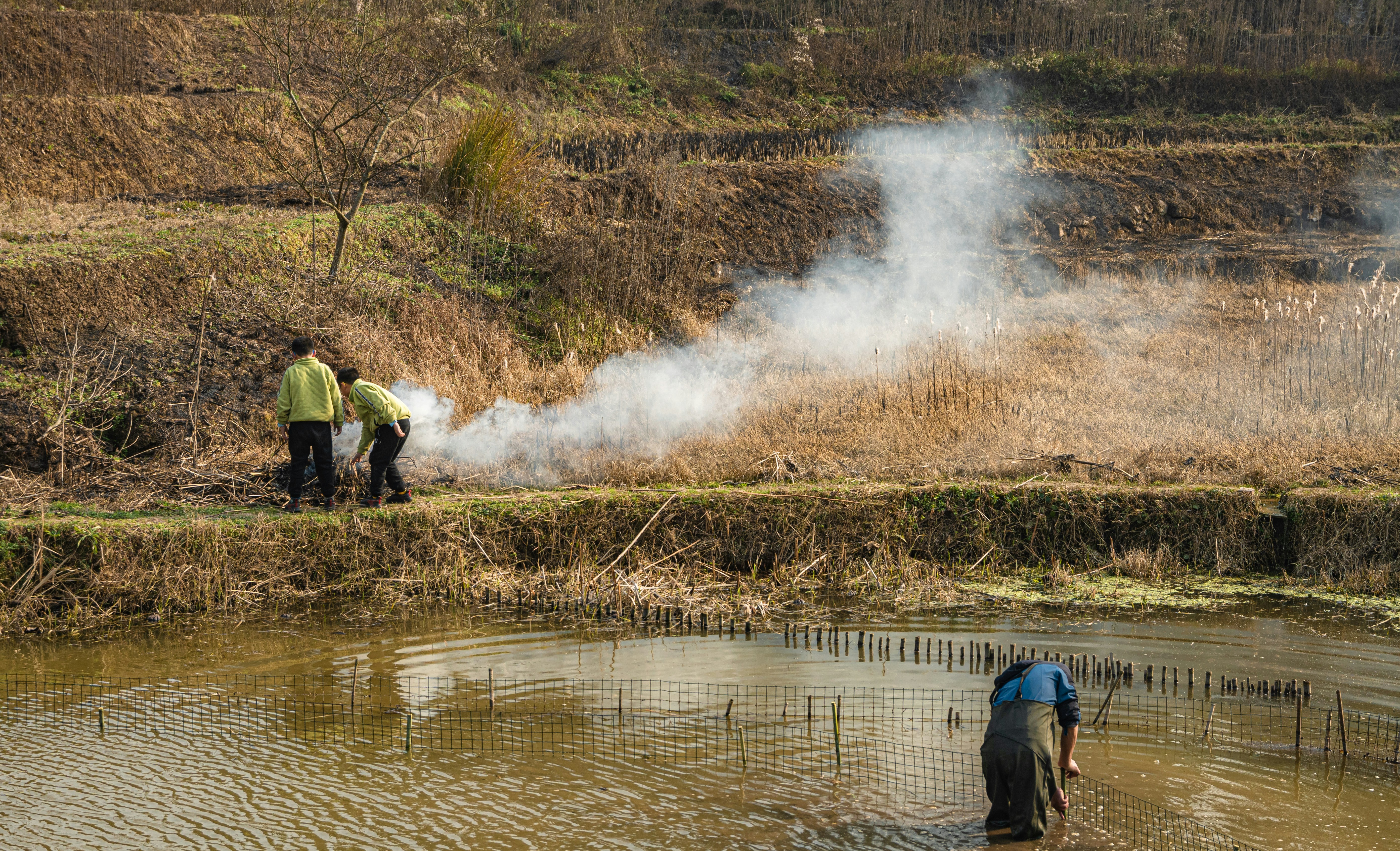 Farmers work the rice fields with smoke rising.
