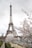 The eiffel tower stands behind blooming trees.