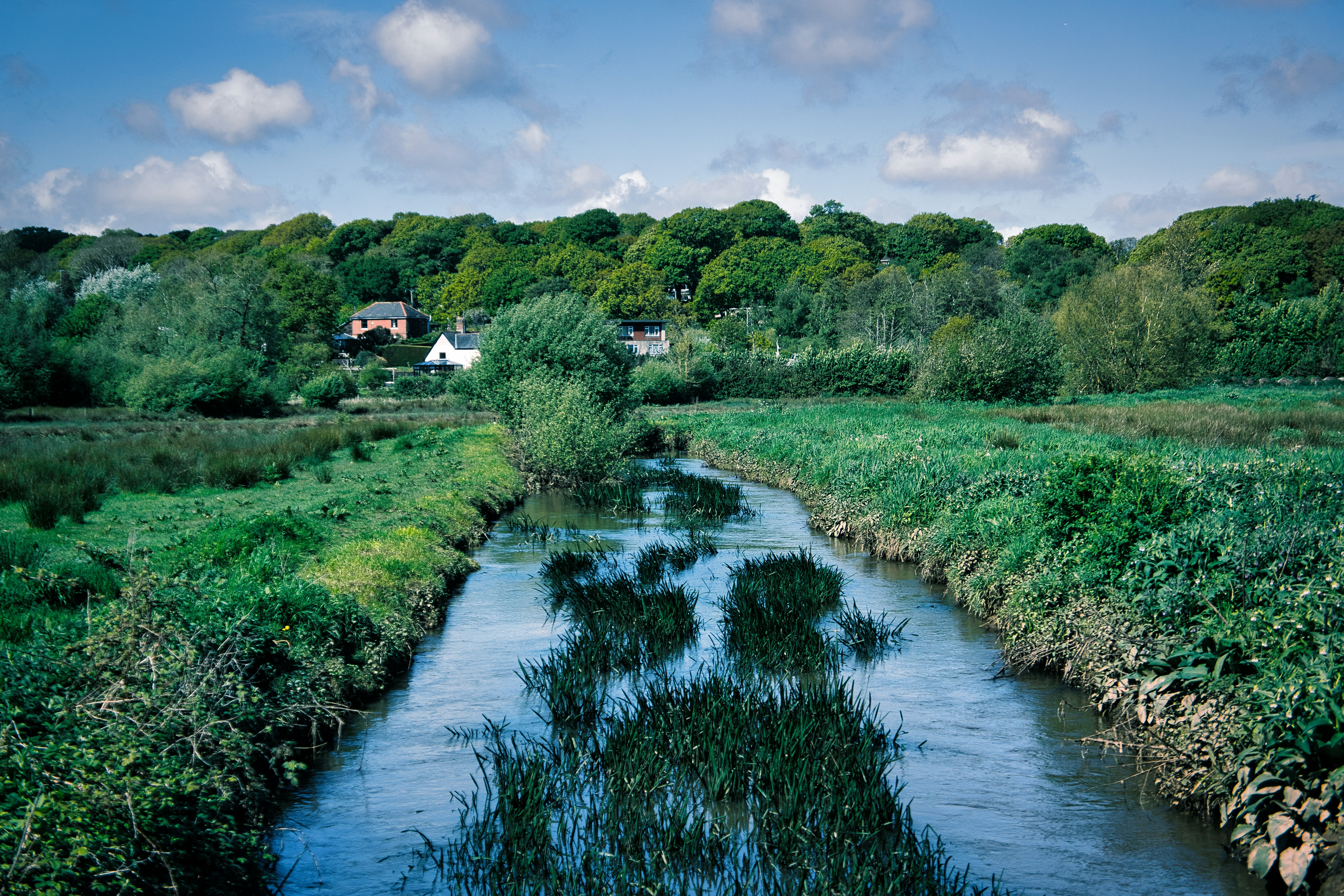 Photo by svenalleblas