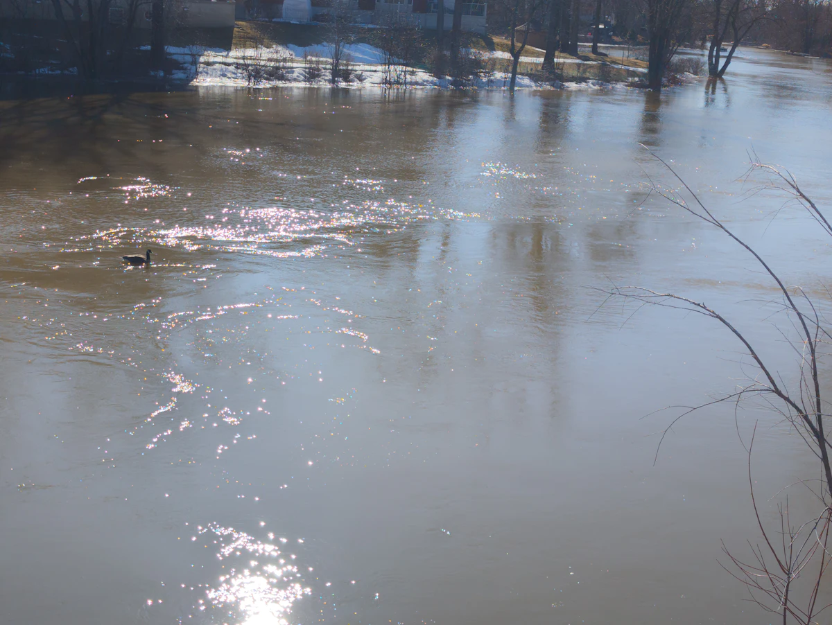Lake in the spring sun in Laval