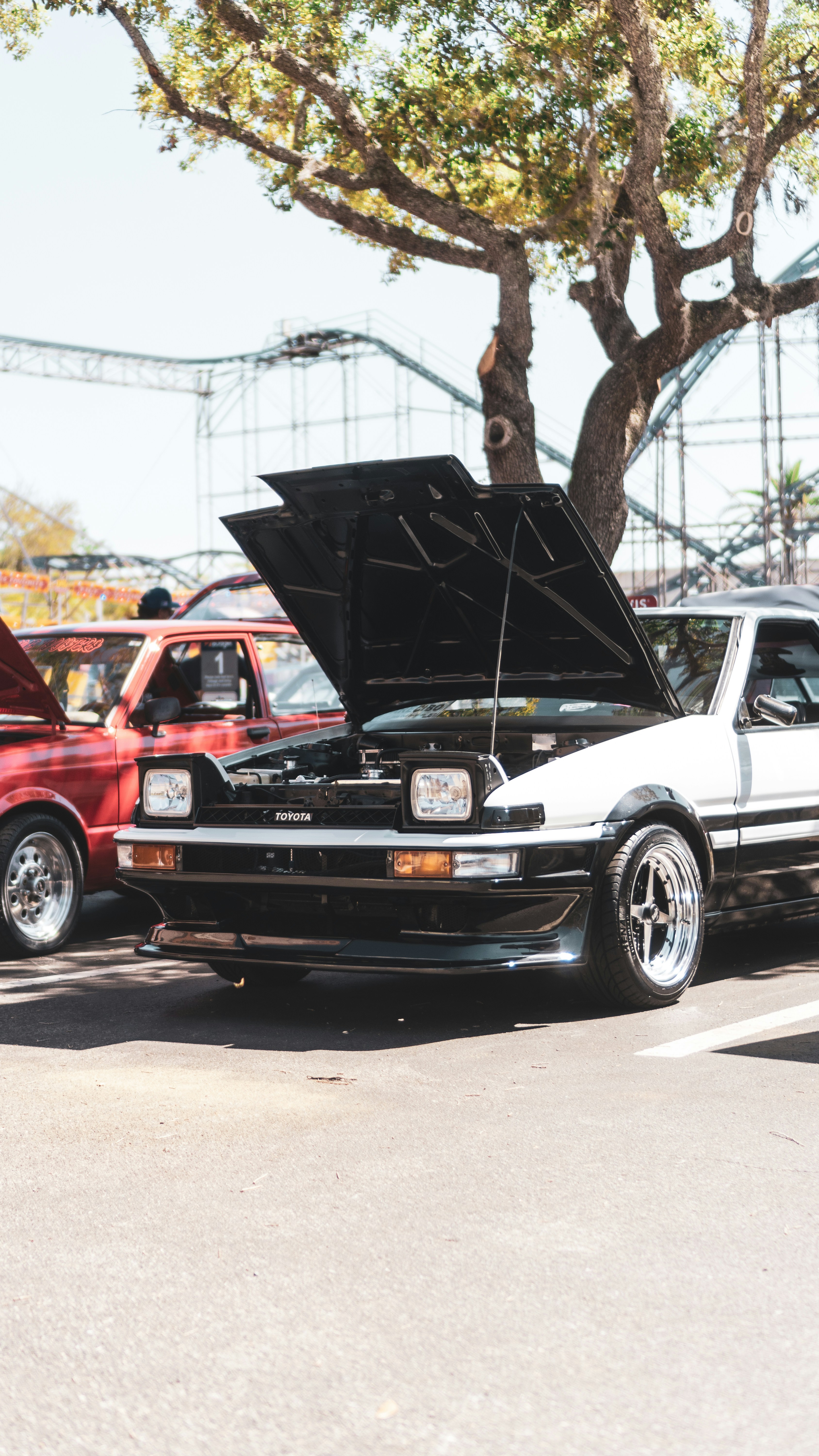 Photo by navarrovisuals