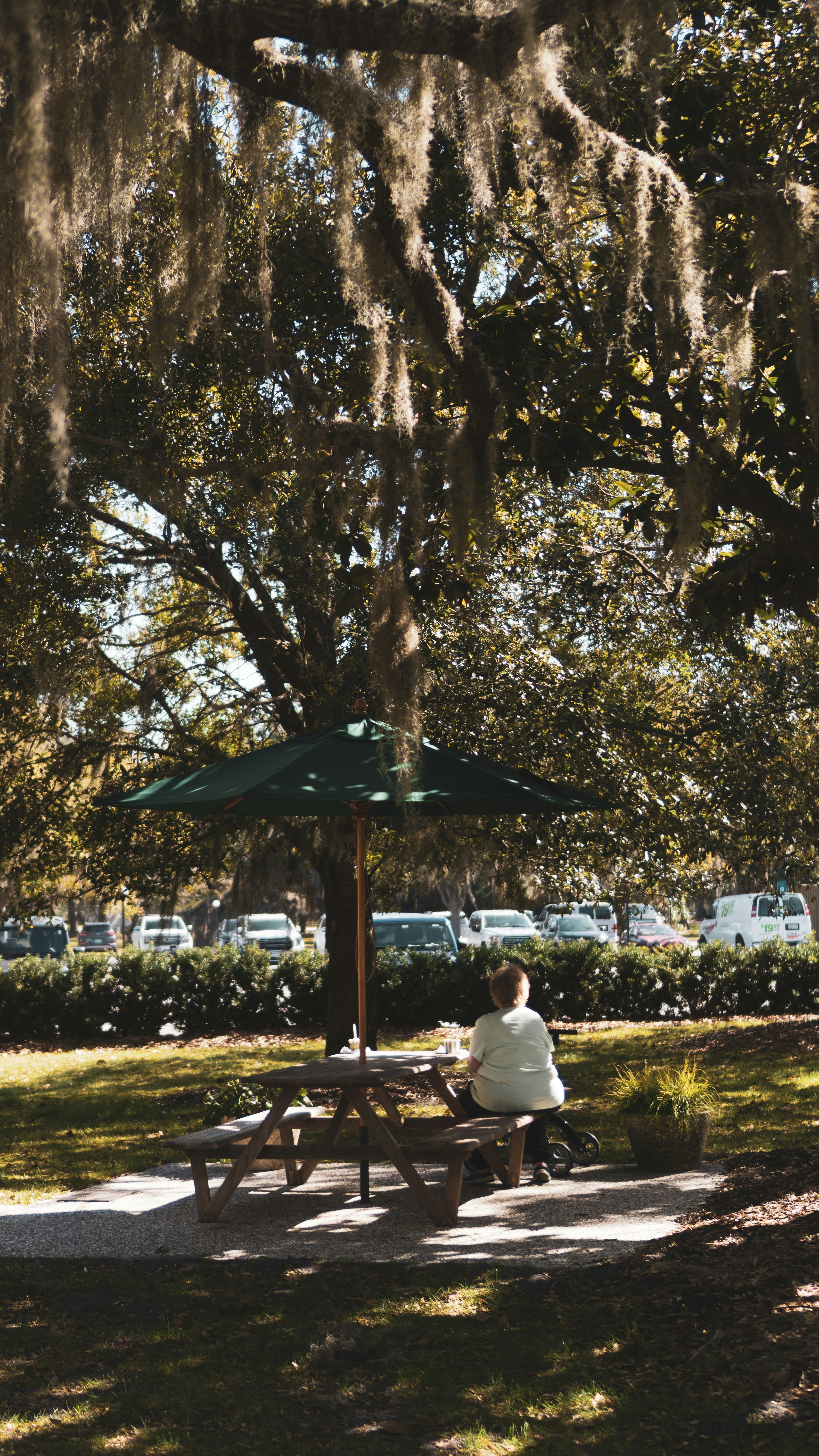 Photo by navarrovisuals