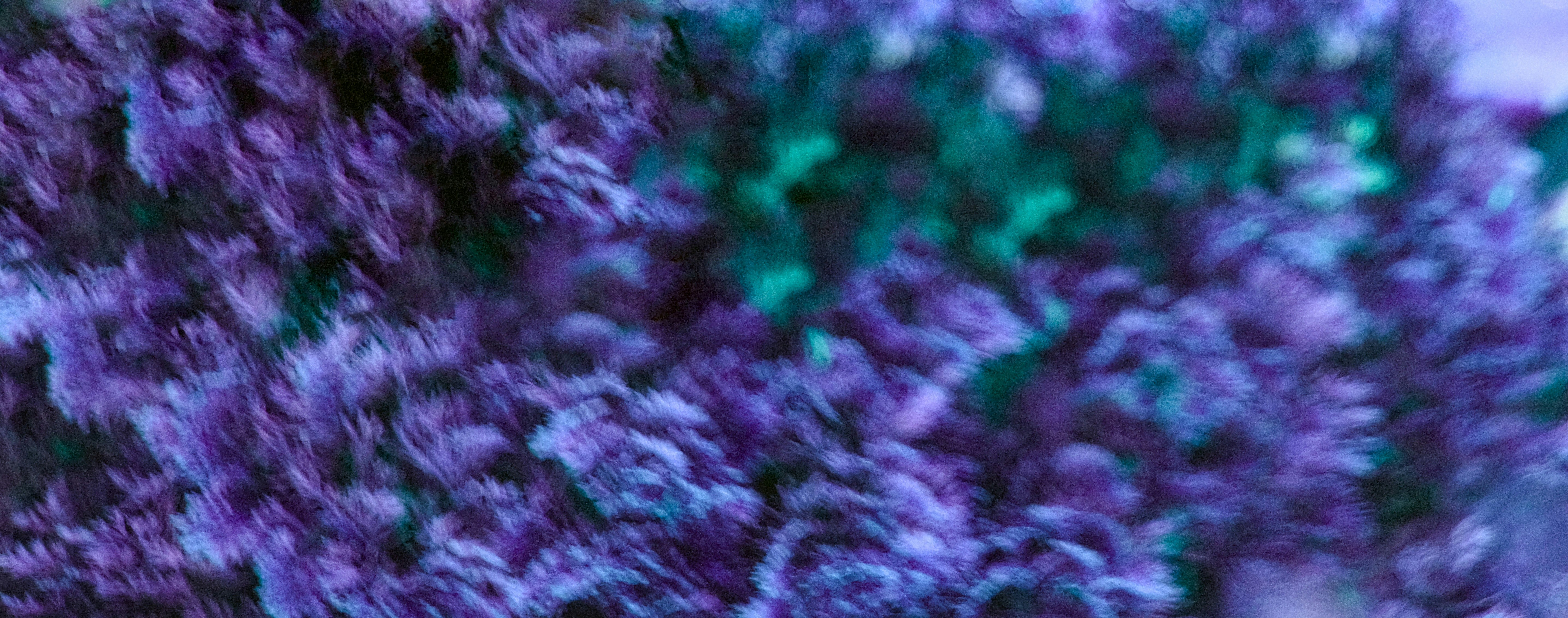 Photo by alexxingplus