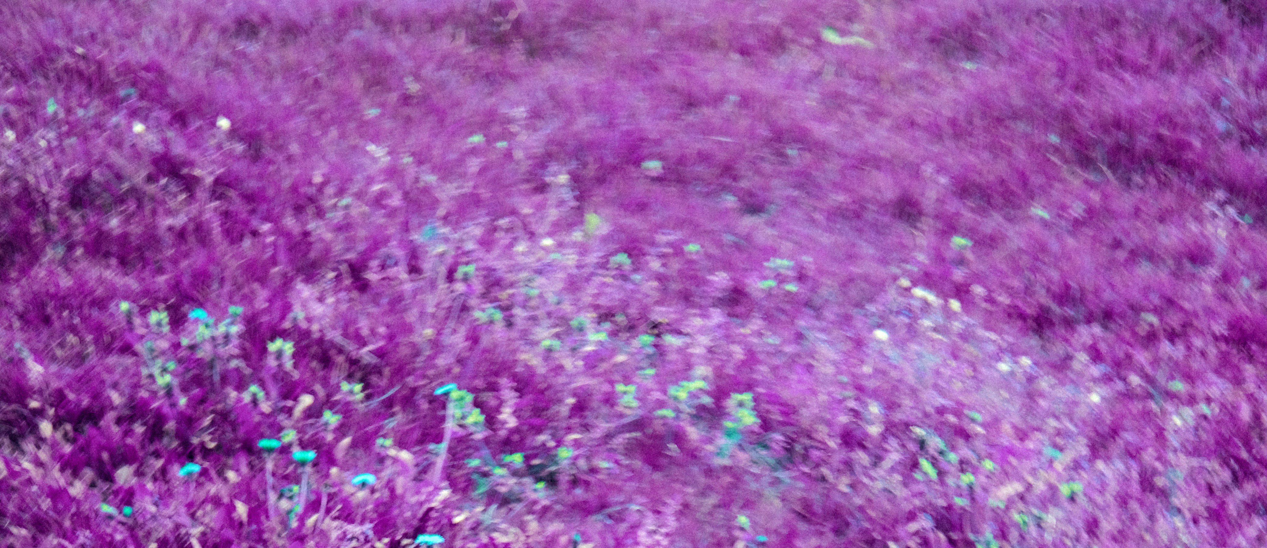 Photo by alexxingplus