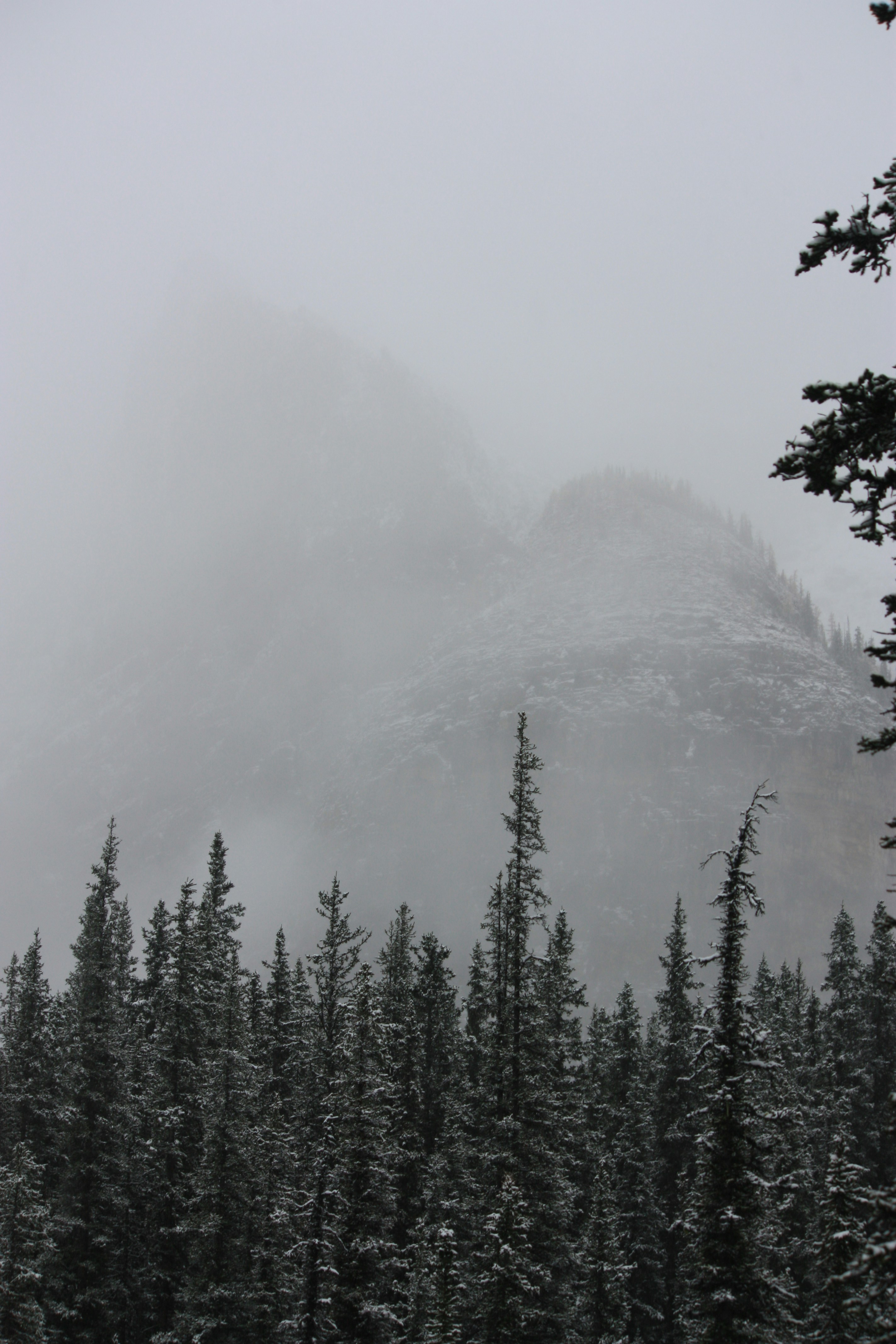 Photo by remi_wigzell