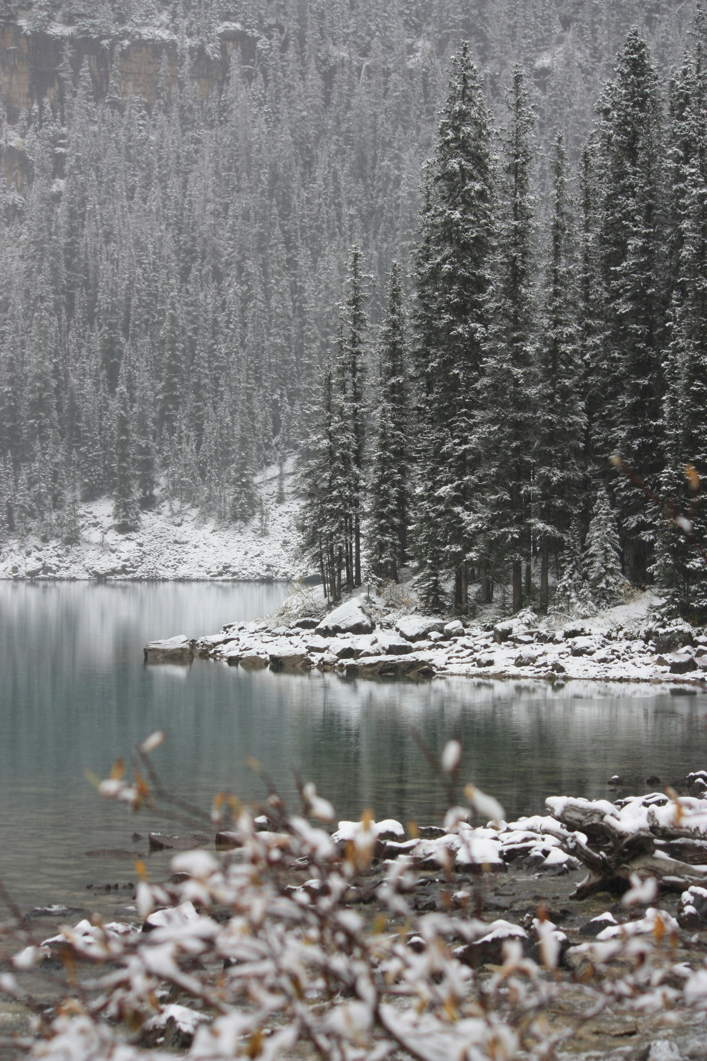 Photo by remi_wigzell