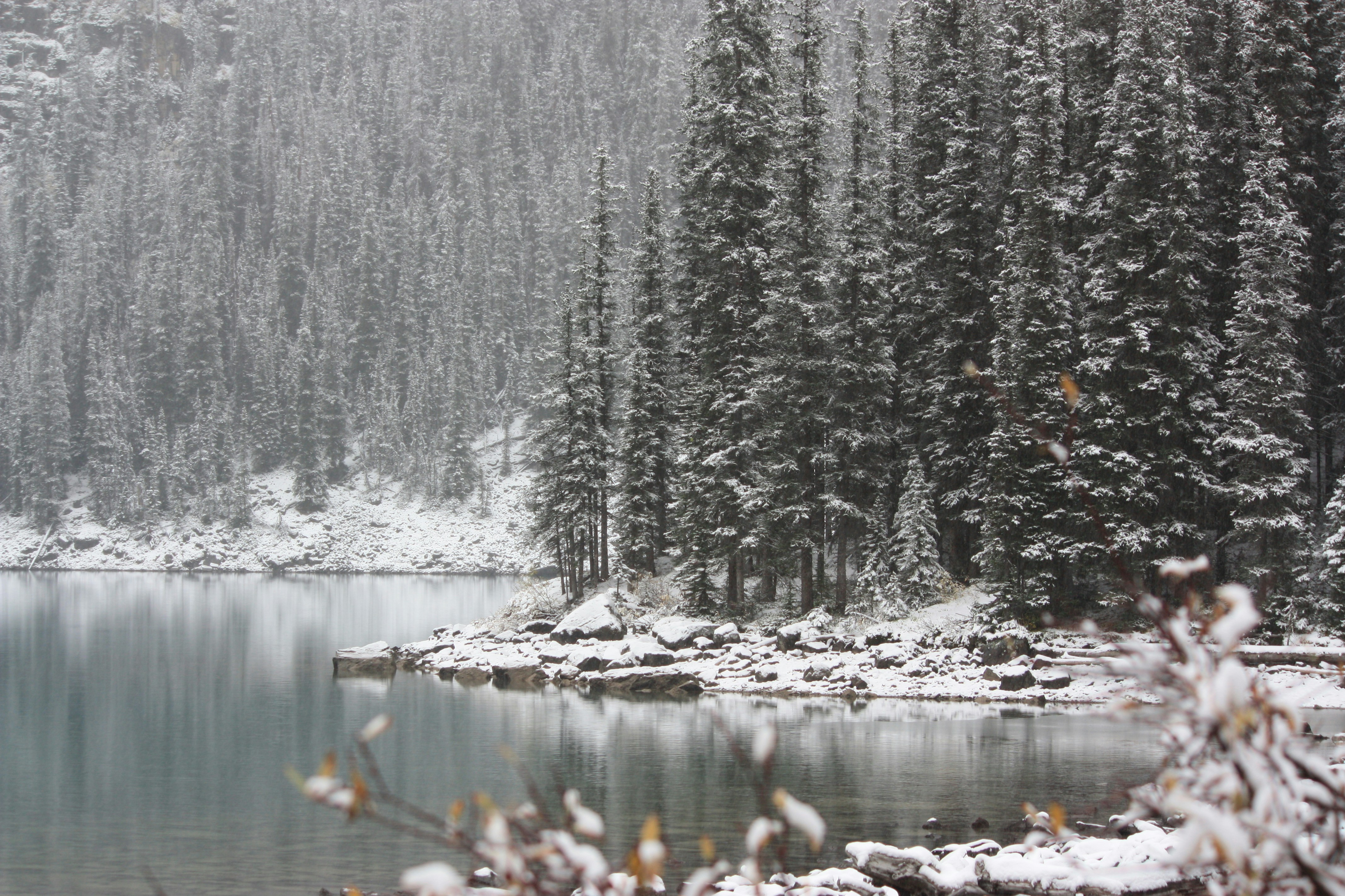 Photo by remi_wigzell