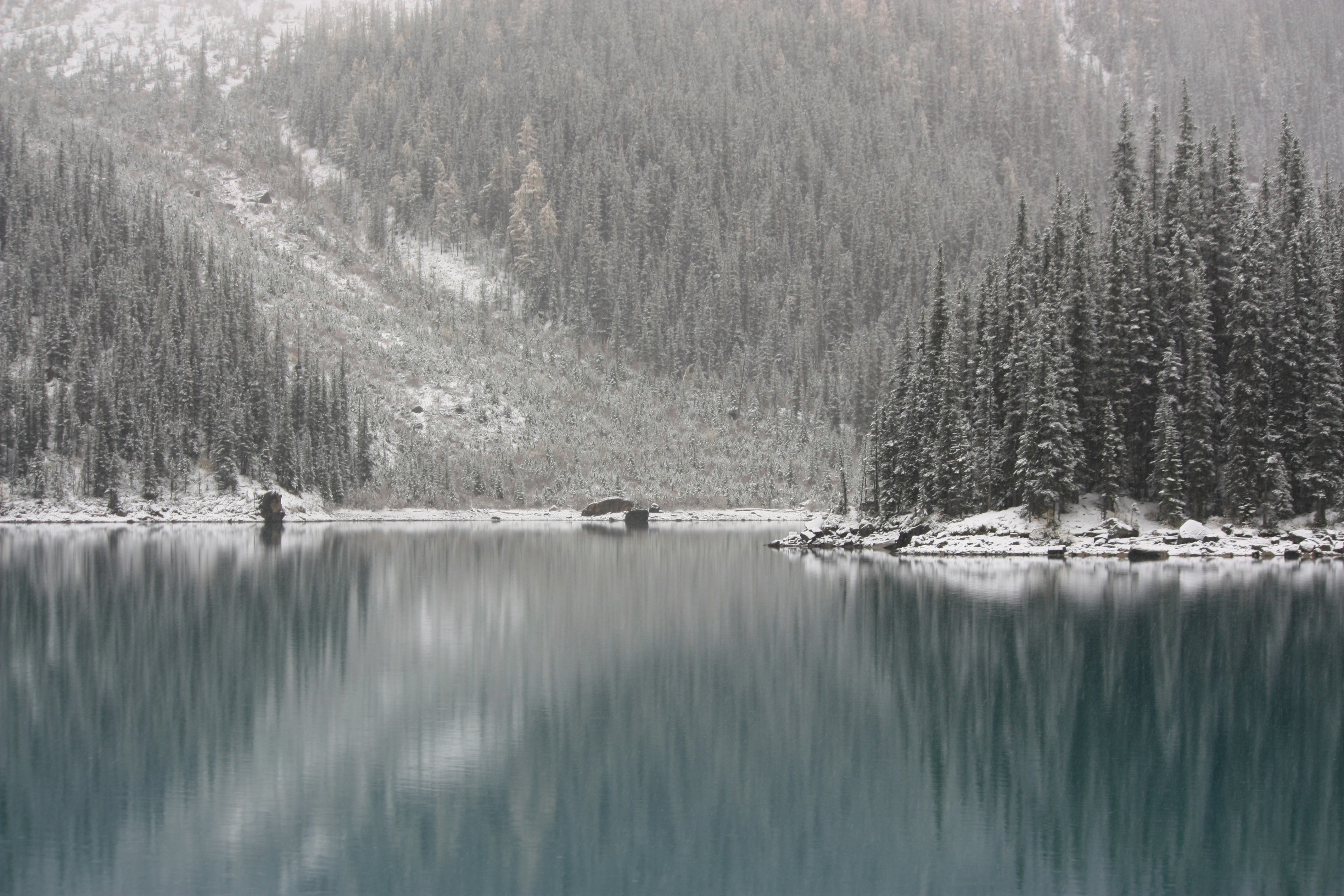 Photo by remi_wigzell