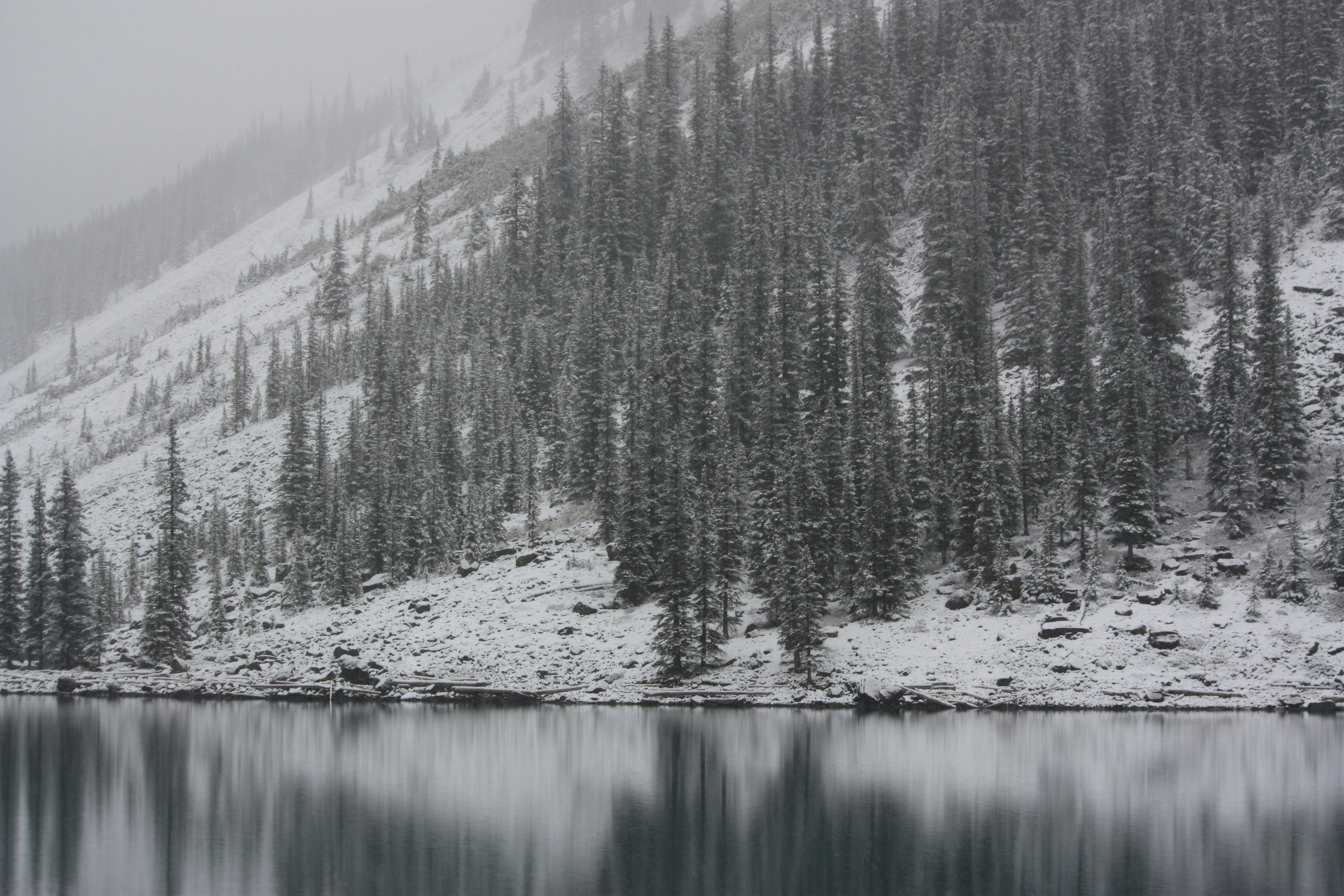 Photo by remi_wigzell