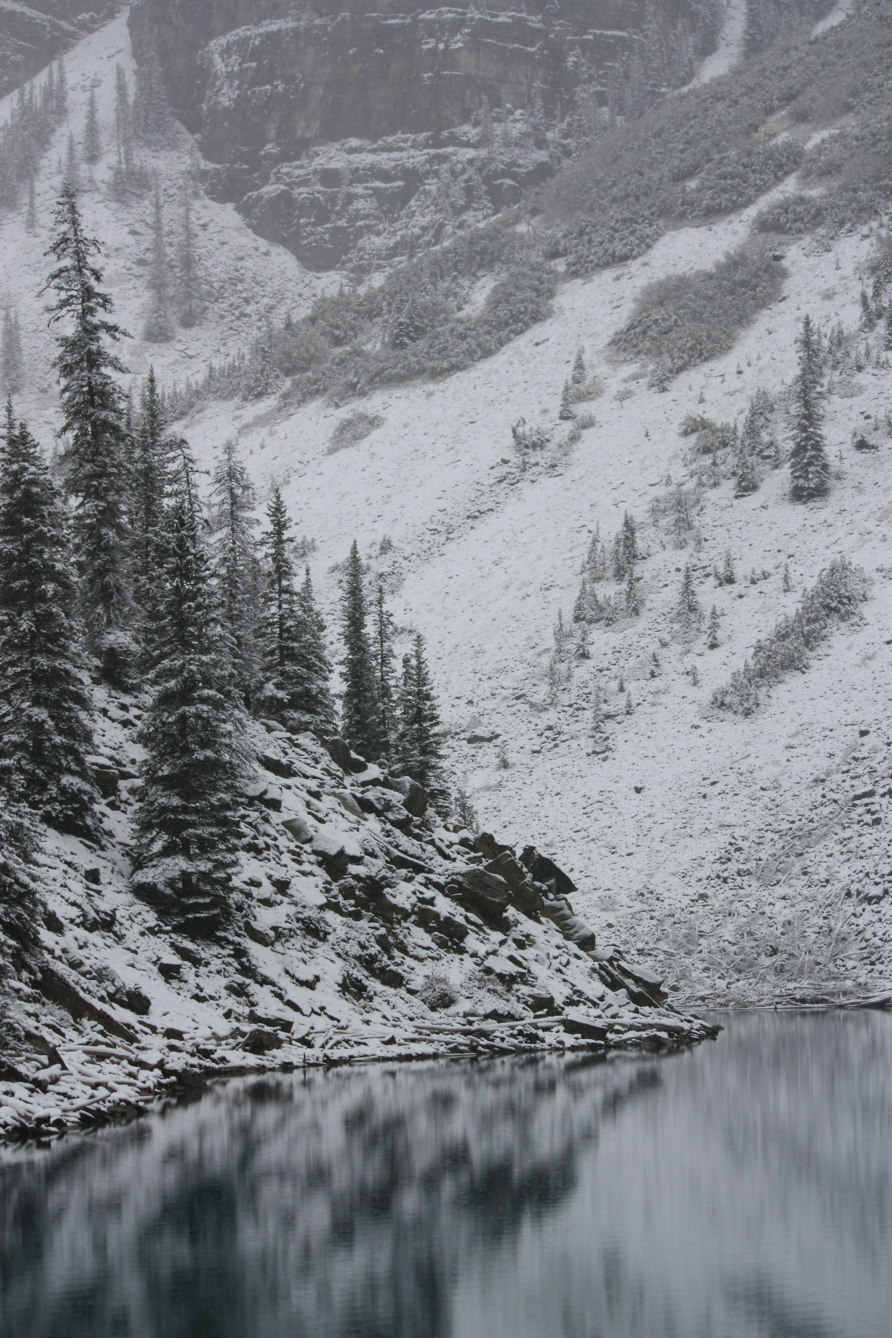 Photo by remi_wigzell