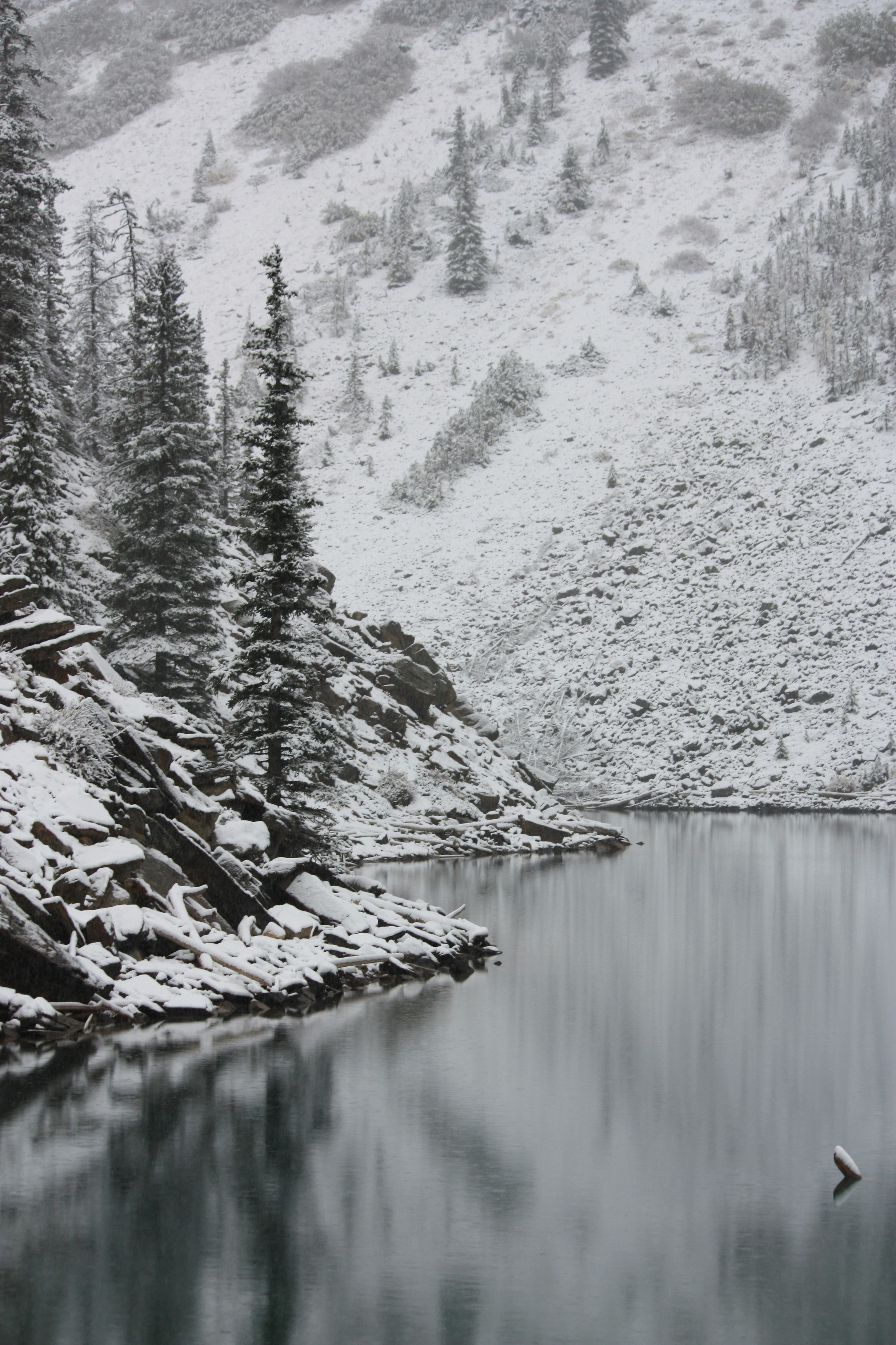 Photo by remi_wigzell