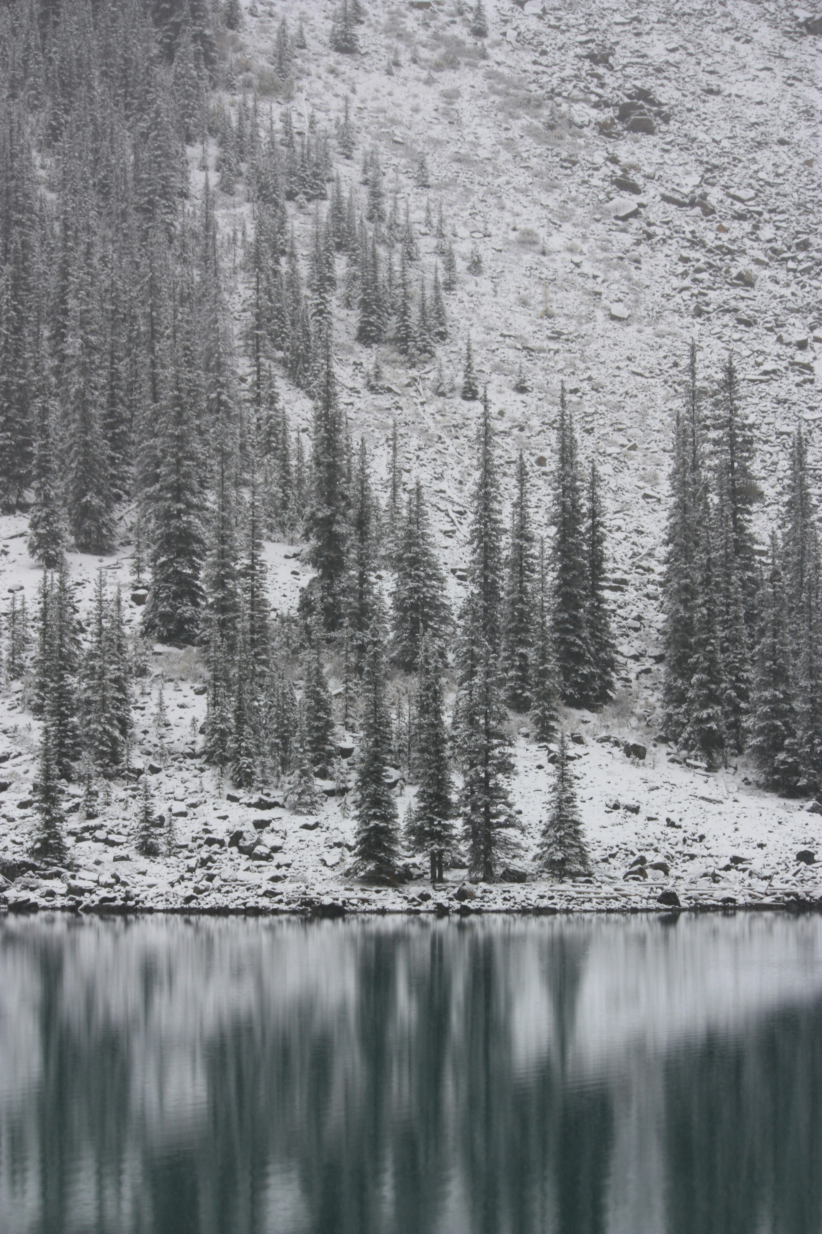 Photo by remi_wigzell