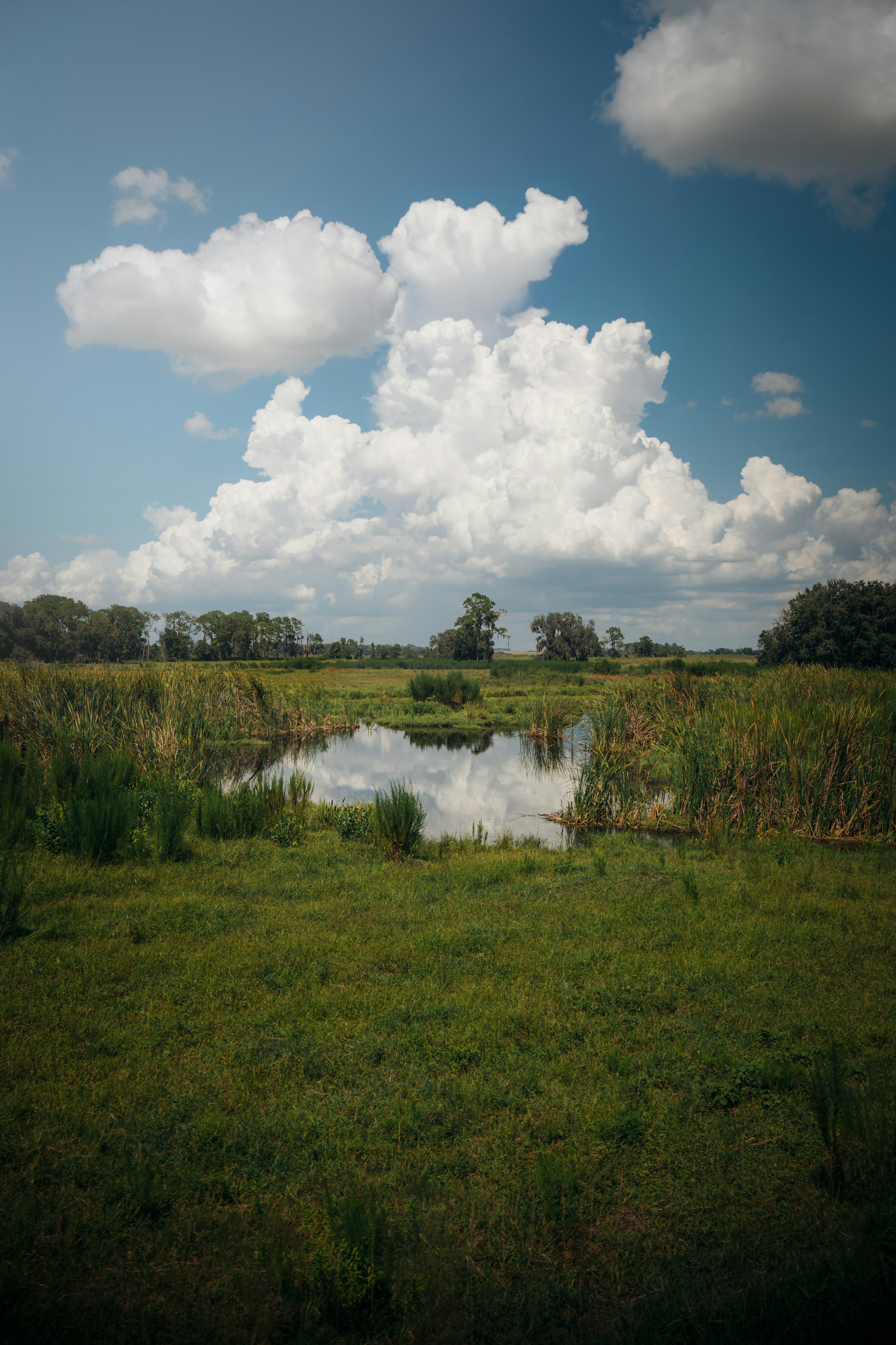 Photo by felipepprieto