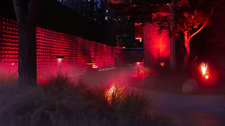 Red lights illuminate a night scene with fog.