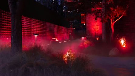 Garden lighting at night