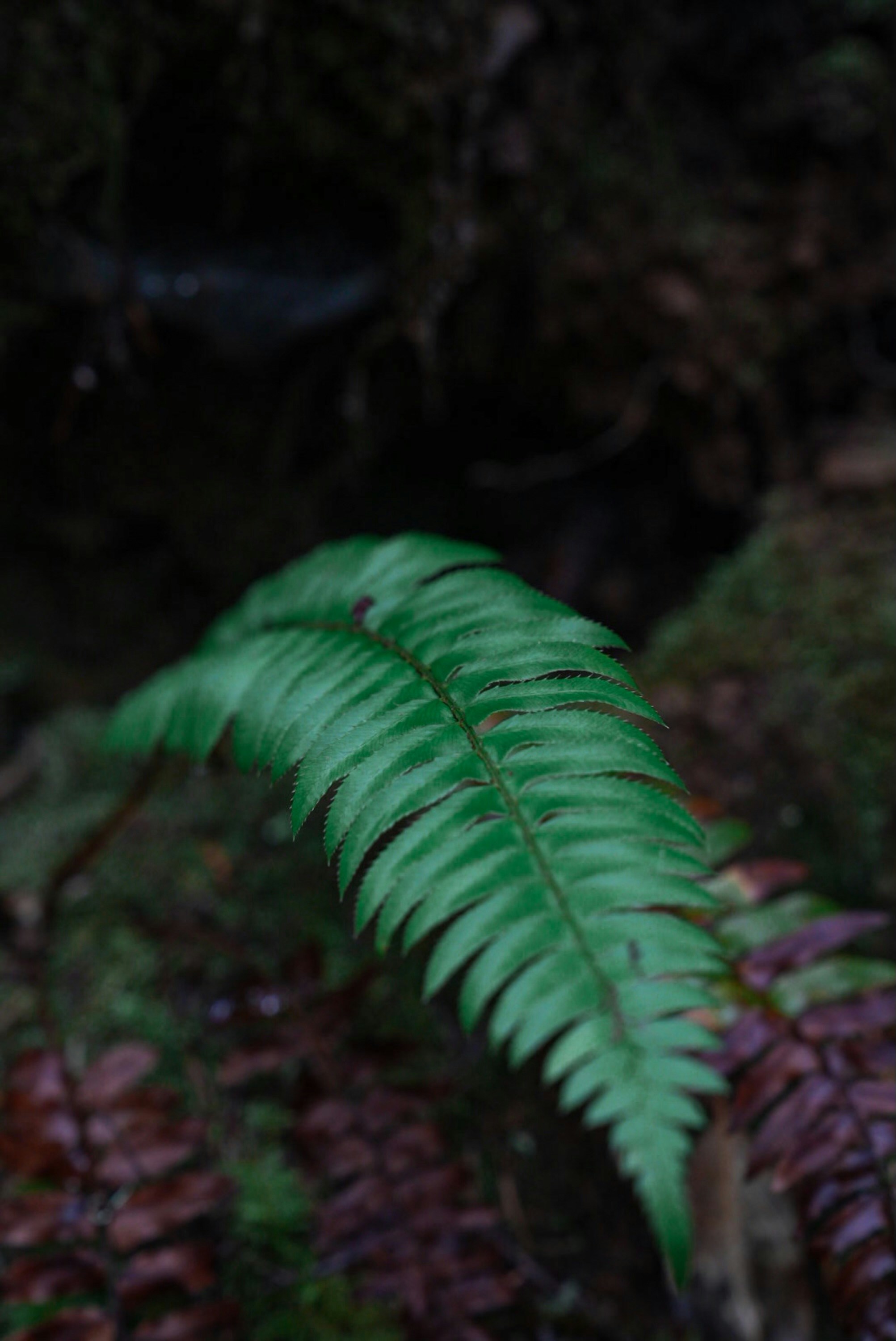 Photo by braydengaron